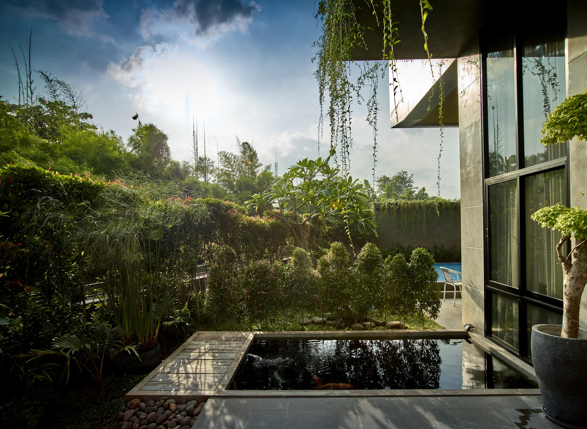 A modern residential garden features a rectangular koi pond bordered by a wooden deck and a grey concrete wall with large windows.