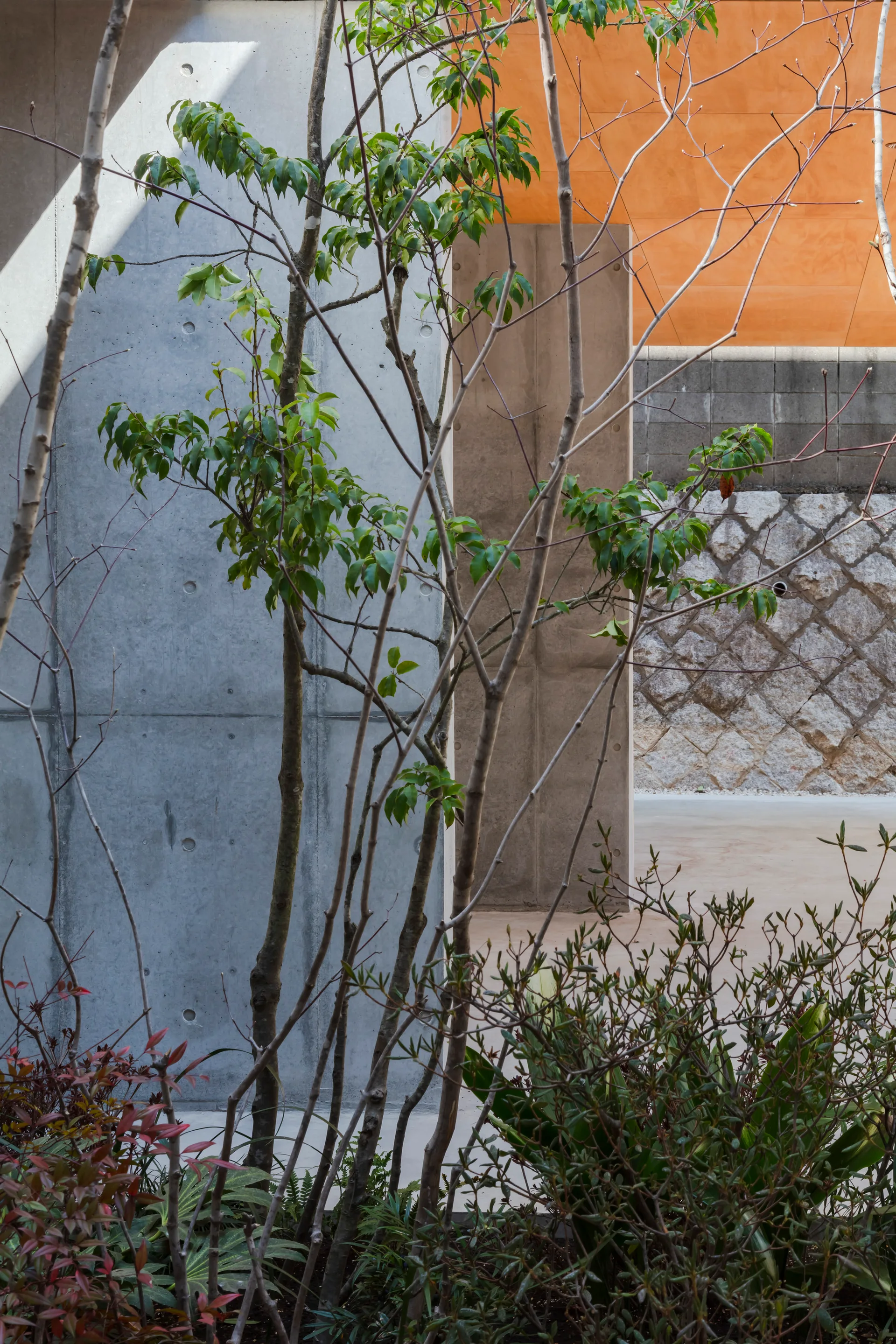 A modern outdoor courtyard featuring smooth gray concrete walls, slender green trees, and a stone masonry wall in the background under a warm wood ceiling.