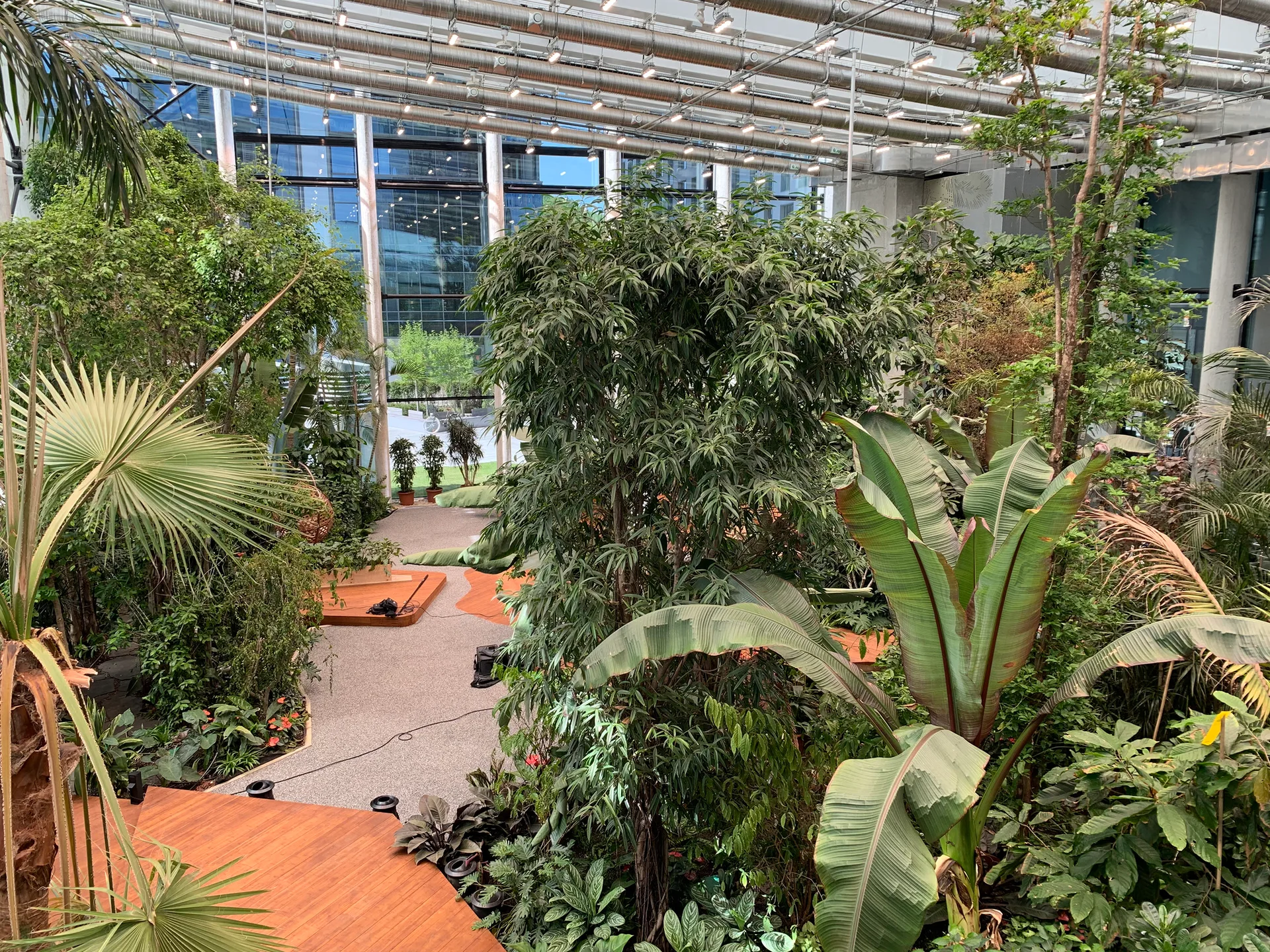 An indoor atrium garden featuring dense tropical plants, wooden platform decks, a pebbled pathway, and a high structural glass ceiling with track lighting.