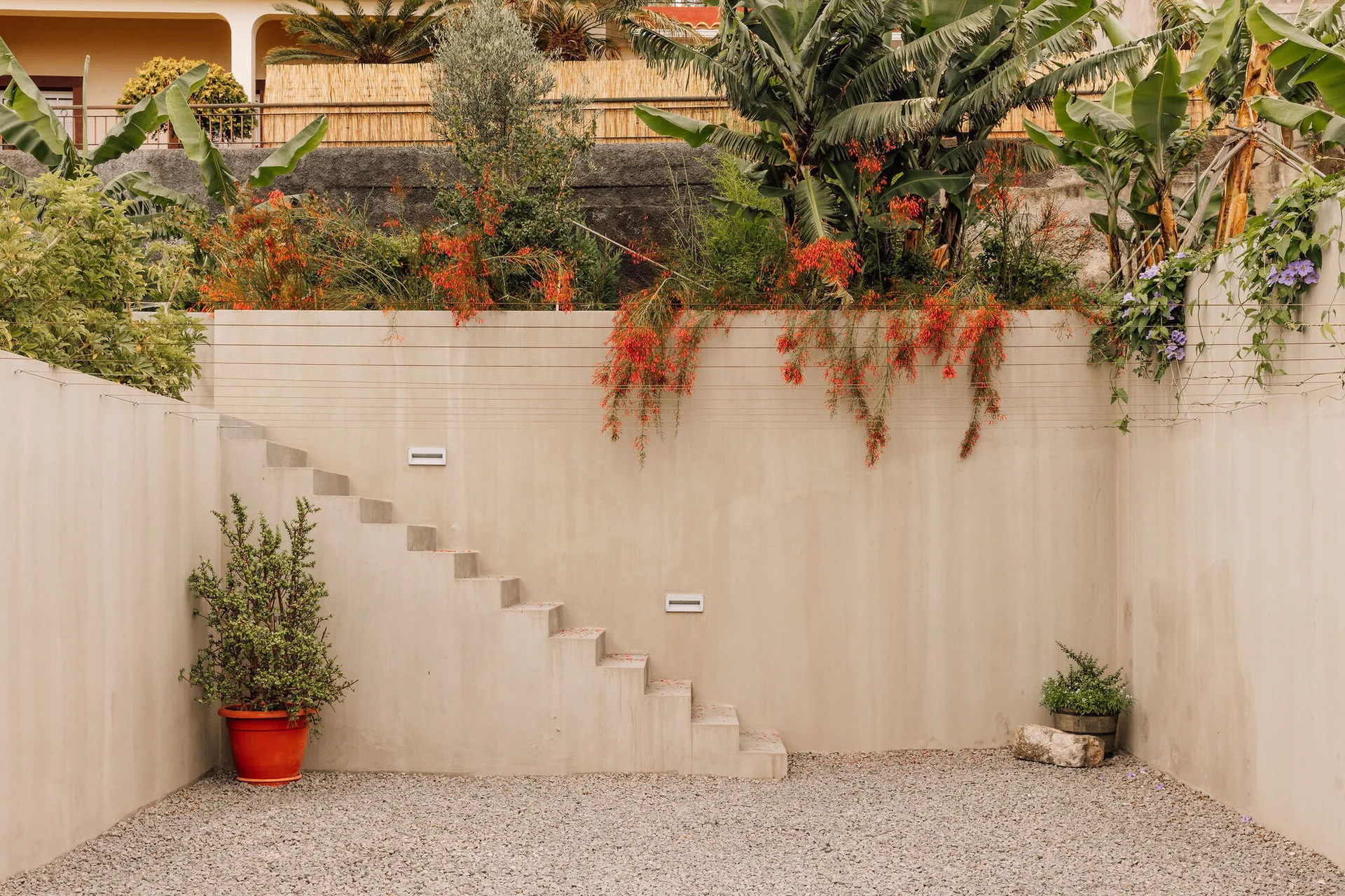 Minimalist tan concrete retaining walls with integrated stairs stand on a grey gravel patio beneath cascading tropical plants.