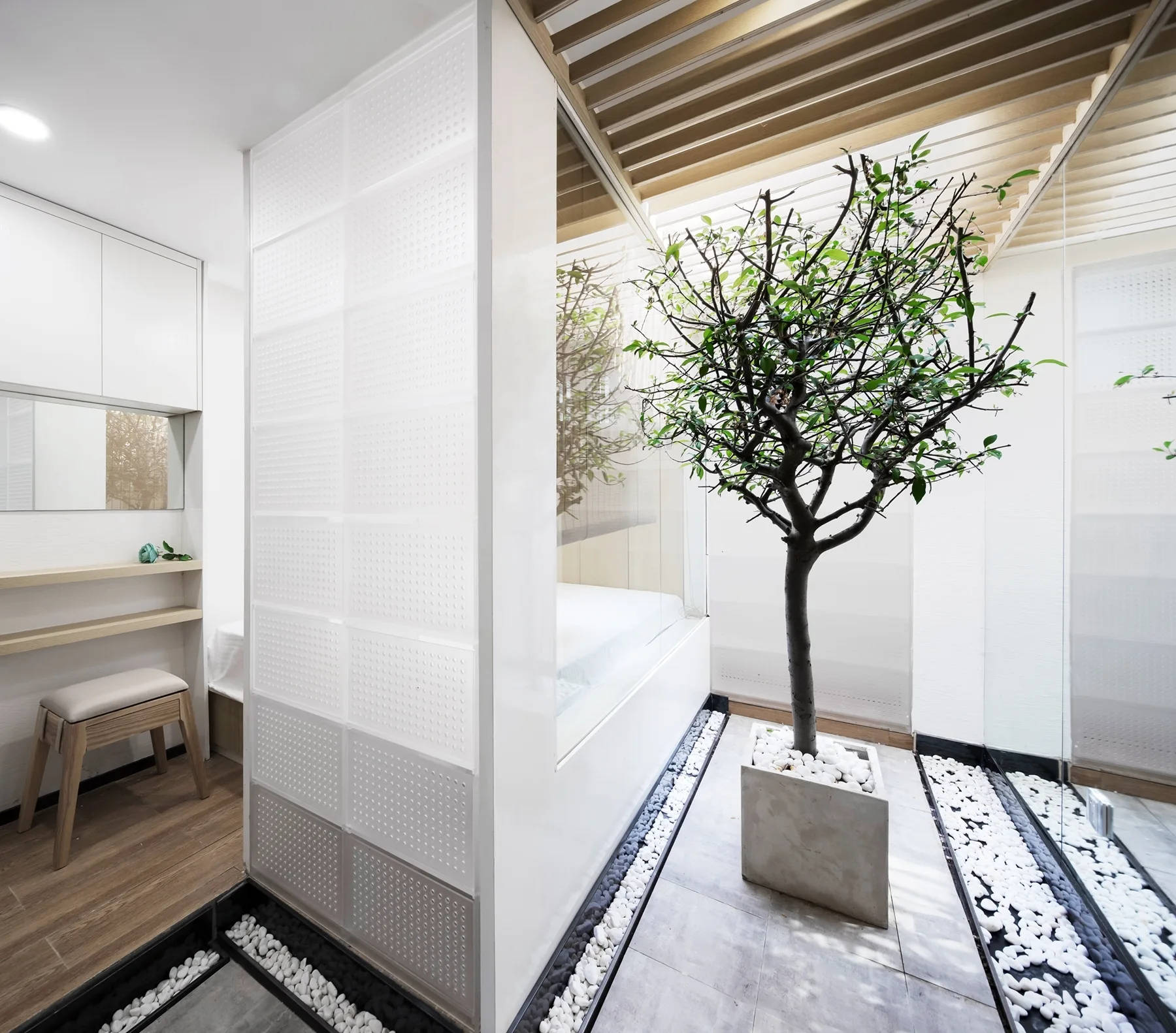 A minimalist interior features a potted tree in a concrete planter next to a glass-partitioned bedroom, wooden ceiling slats, and pebble-filled floor tracks.