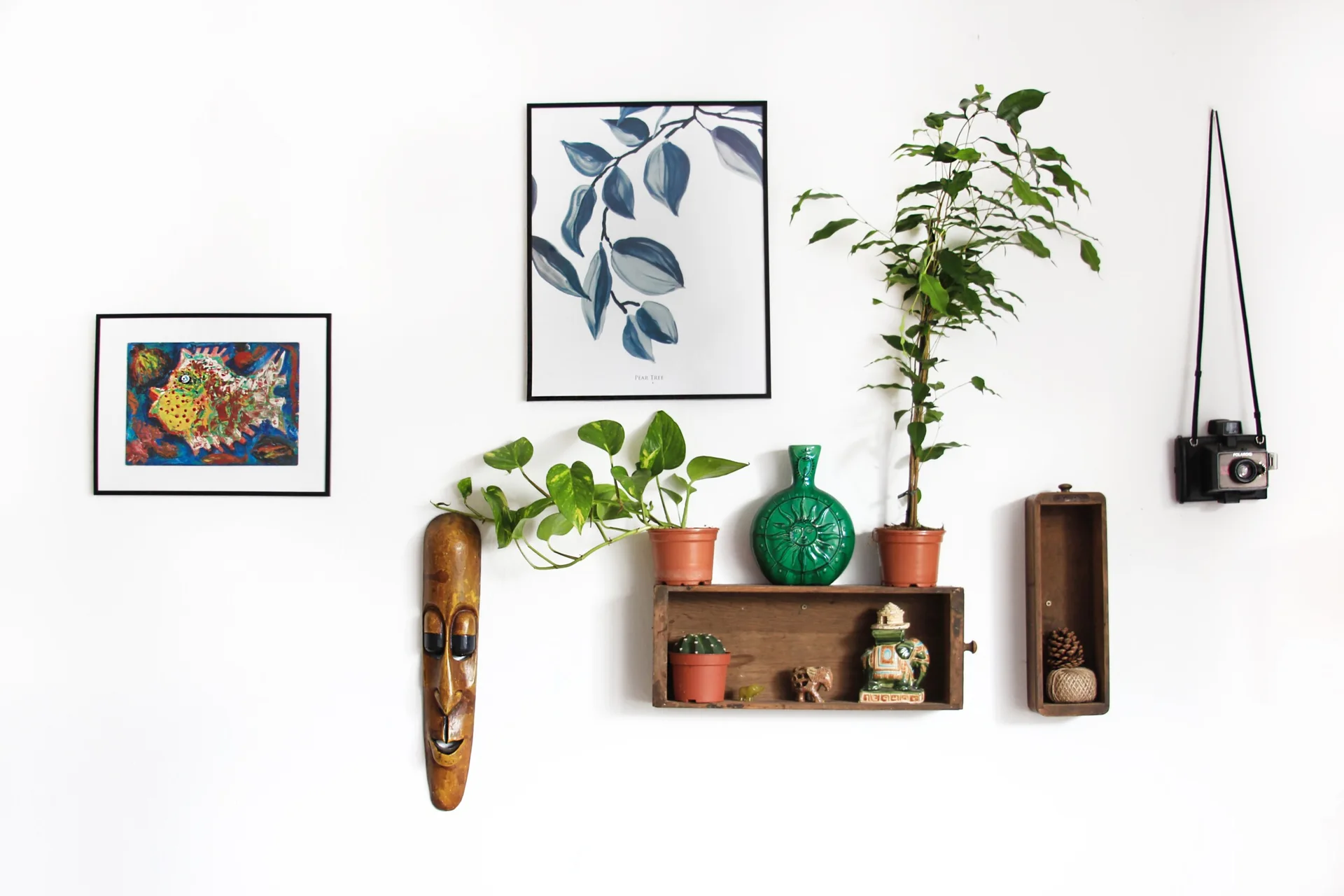 A white wall features an eclectic gallery display of framed art, potted houseplants on wooden drawer shelves, a wooden mask, and a vintage camera.