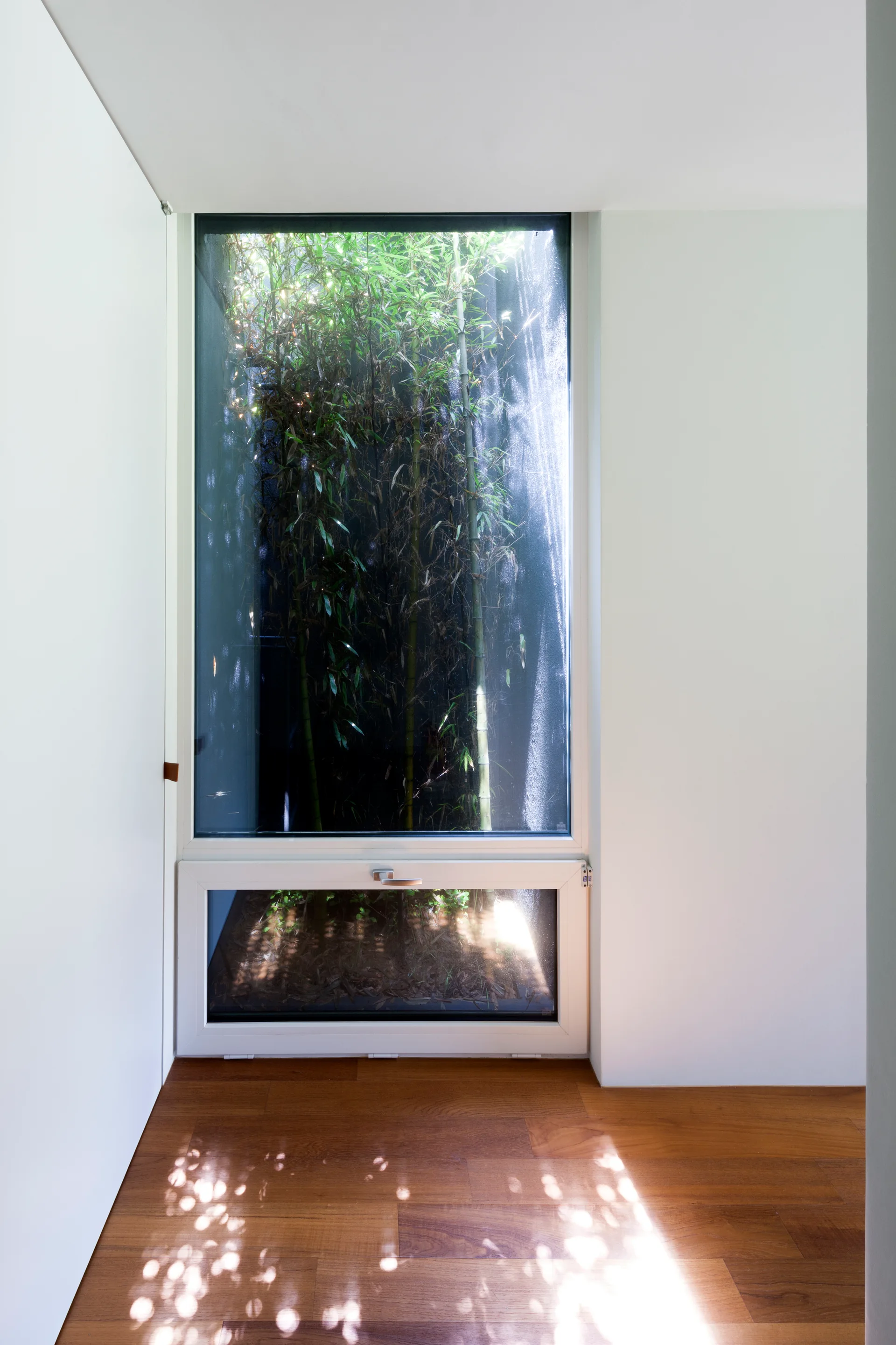 A bright interior with white walls, wooden flooring, and a large rectangular window framing a lush green bamboo courtyard.