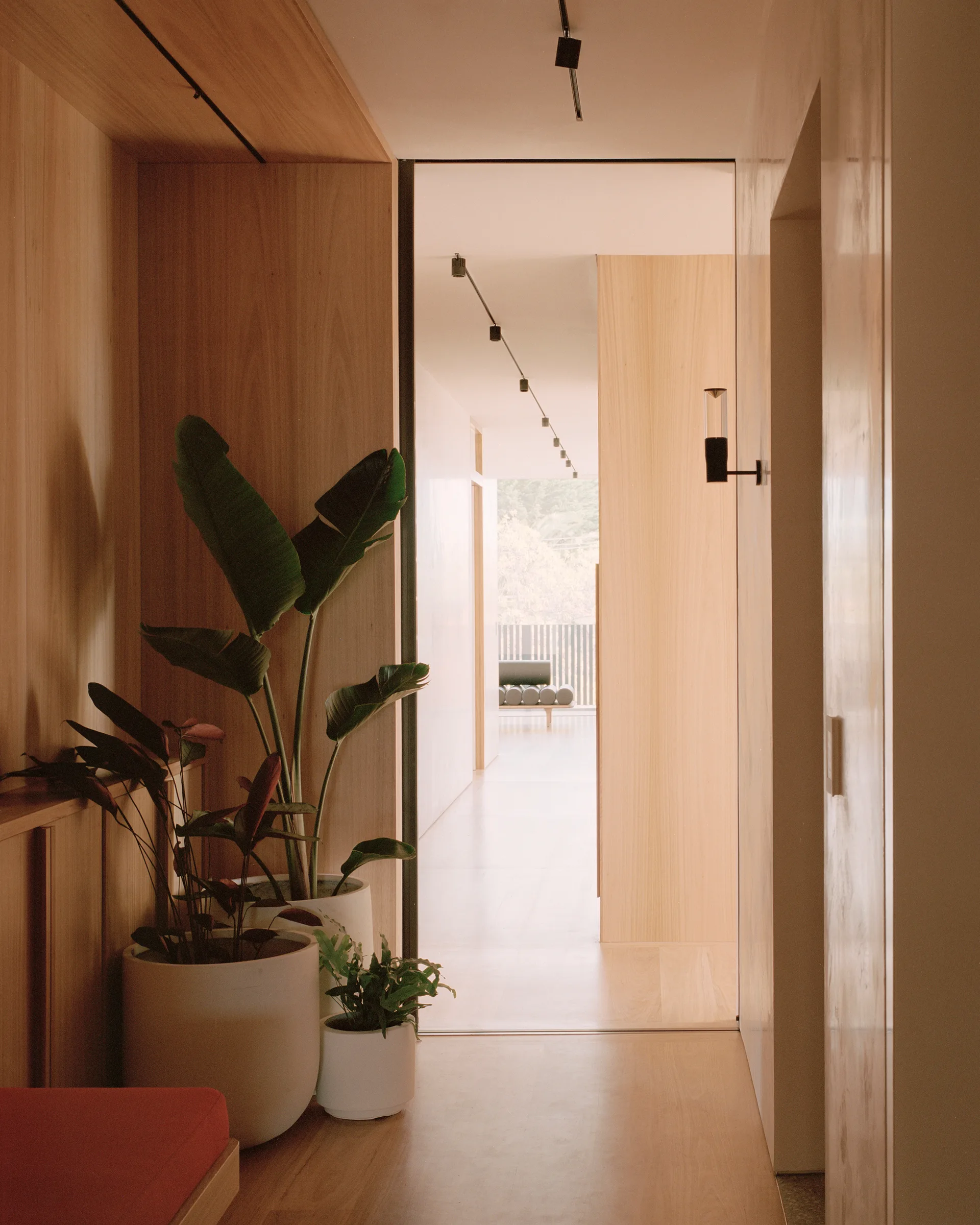 A minimalist hallway features warm light wood wall paneling, matching flooring, and several large white planters containing tropical leafy plants.
