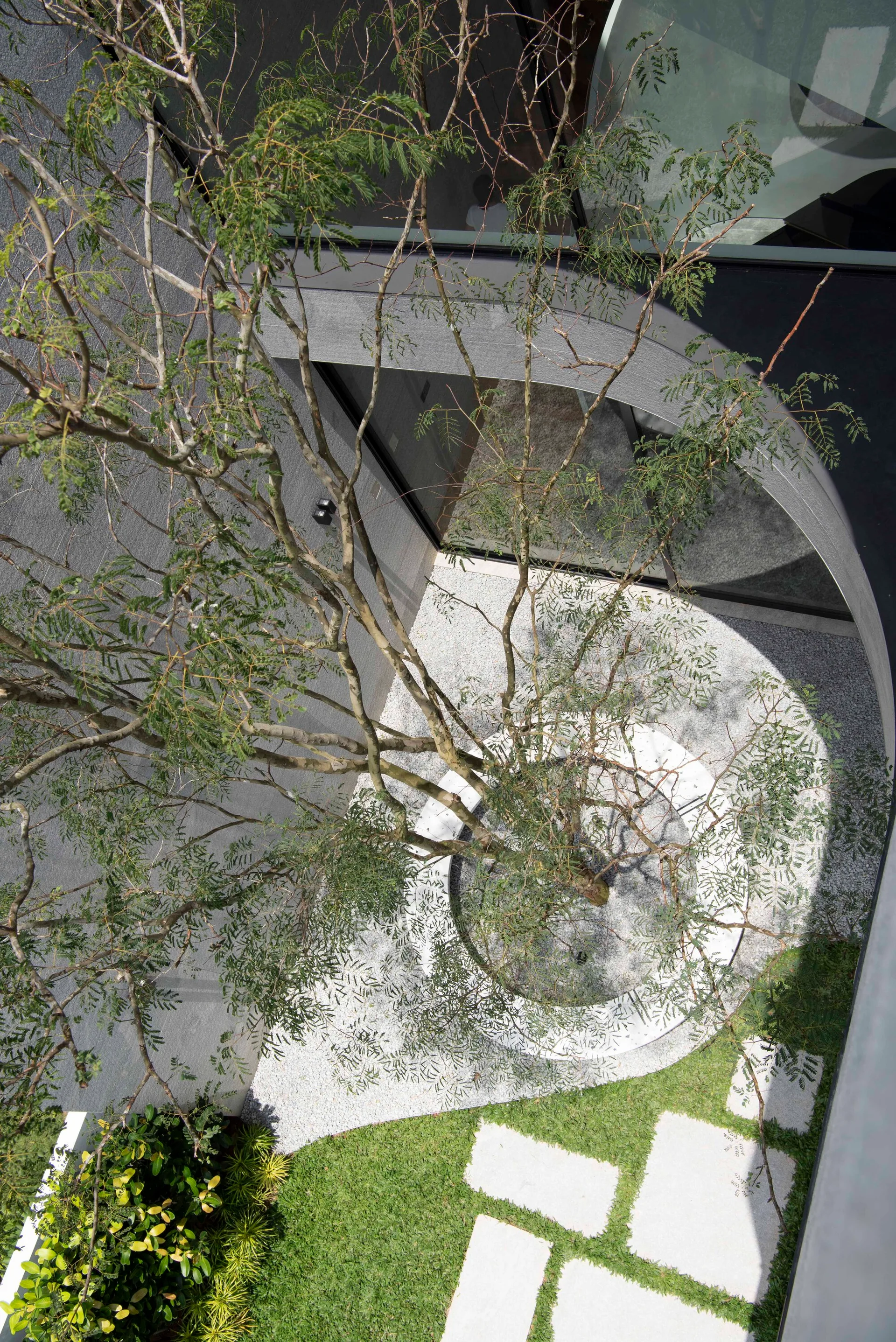 An overhead view of a minimalist courtyard featuring a central tree in a circular planter, white gravel, textured grey walls, and a grass lawn.