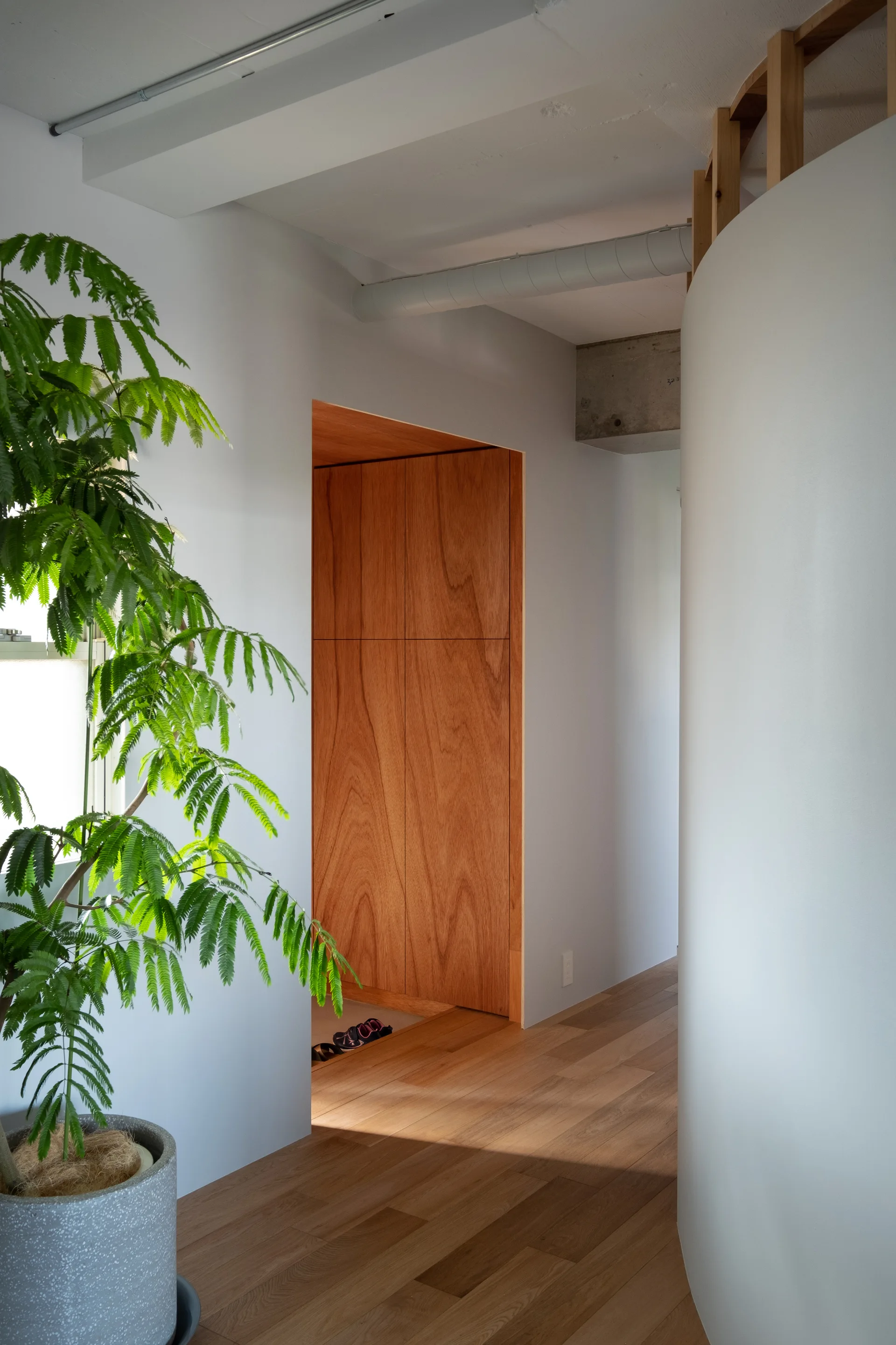 A minimalist entryway hallway featuring wood flooring, a smooth curved white partition wall, and a recessed wooden door alcove.