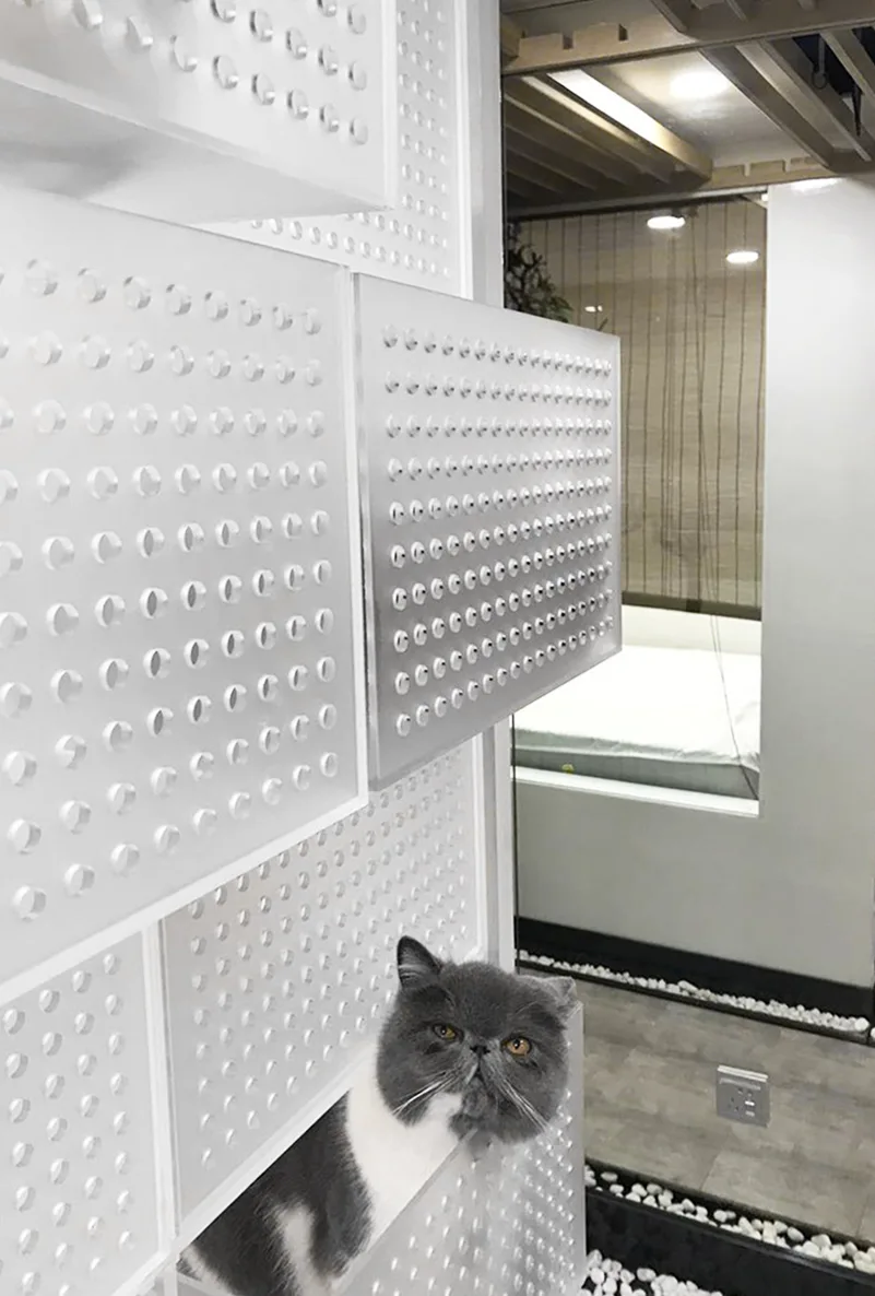 White translucent modular wall panels with a raised circular texture are shown with a grey cat peeking through a lower opening.