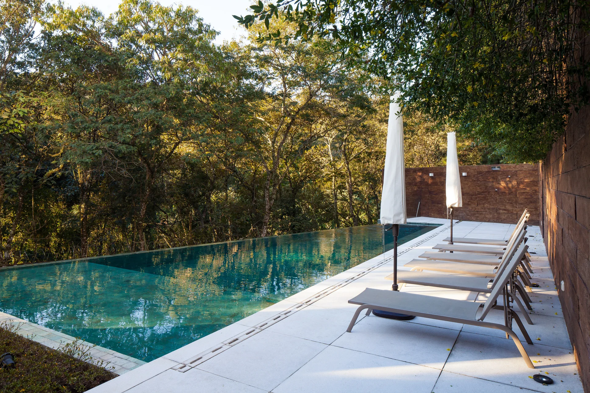 An outdoor infinity swimming pool features light grey stone pavers, minimalist lounge chairs, and a warm wood paneled wall beside a dense forest.