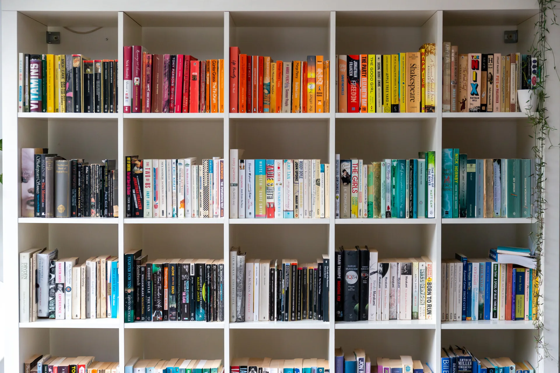 A white wooden grid bookcase filled with books arranged by spine color in a rainbow spectrum, with a small green trailing plant on the side.