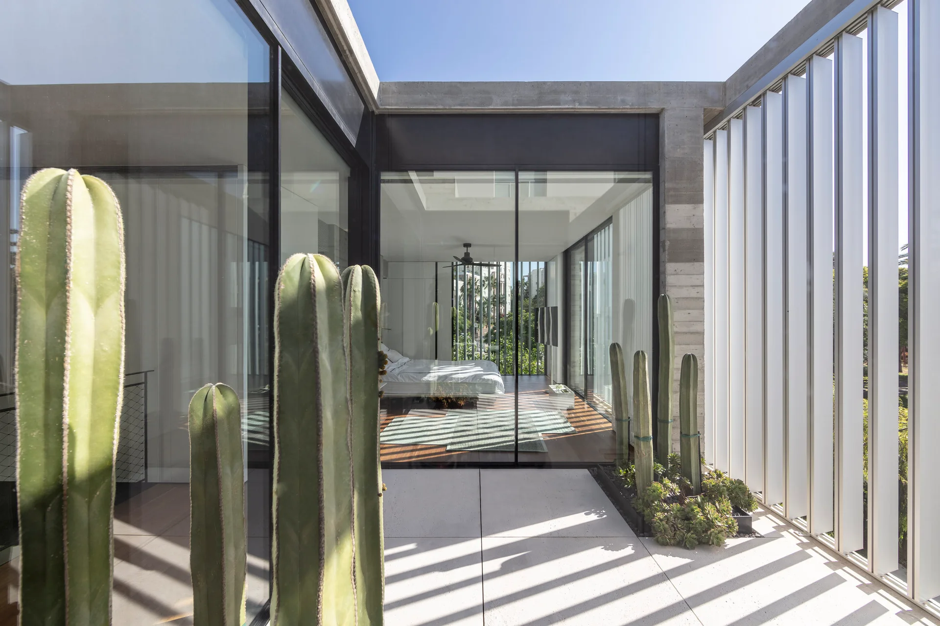 A minimalist concrete patio features tall cacti and a vertical metal louver screen, with a glass-walled bedroom visible inside.