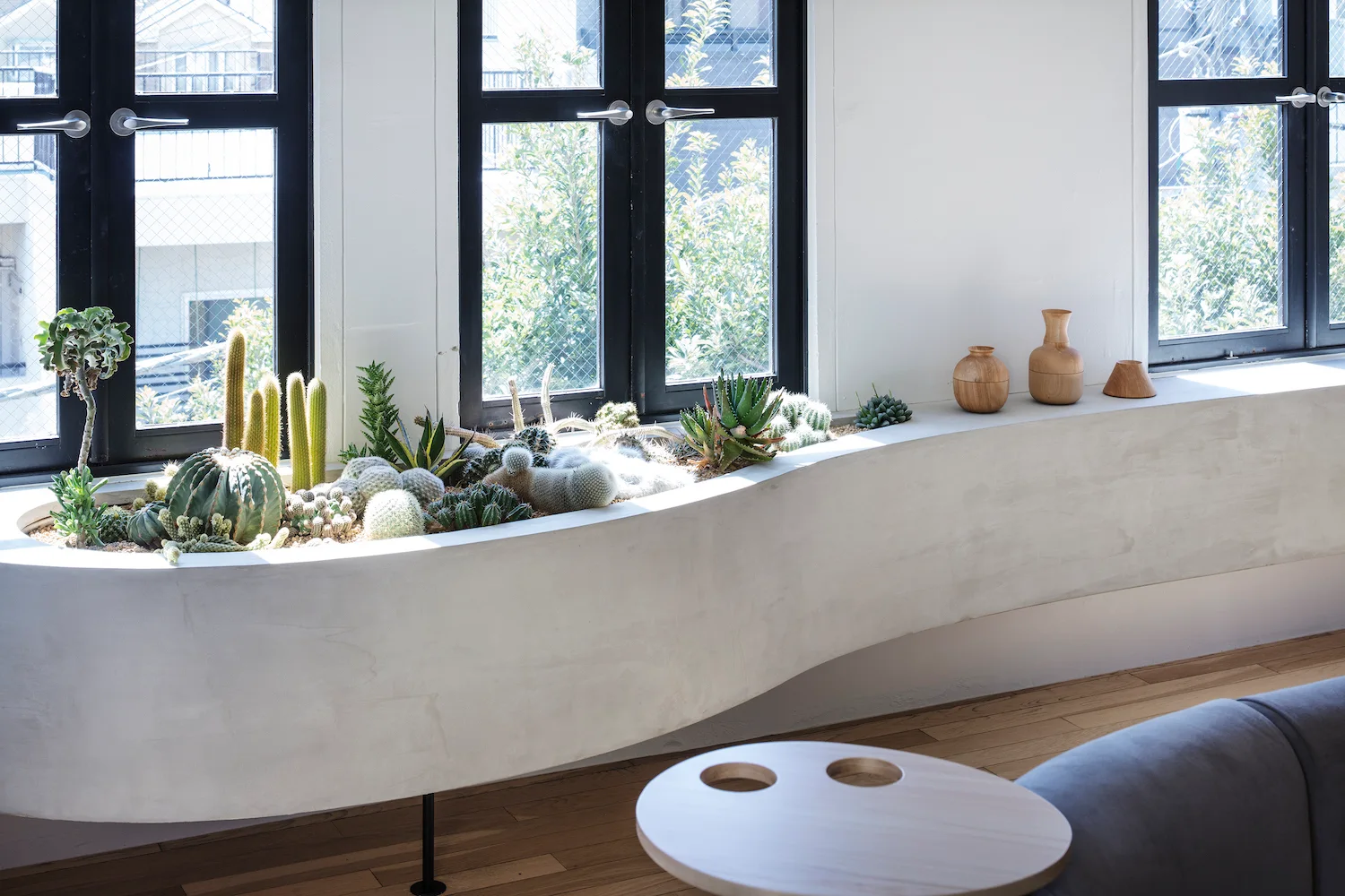 A curved concrete built-in planter holding desert cacti sits below black-framed windows next to three wooden vases.