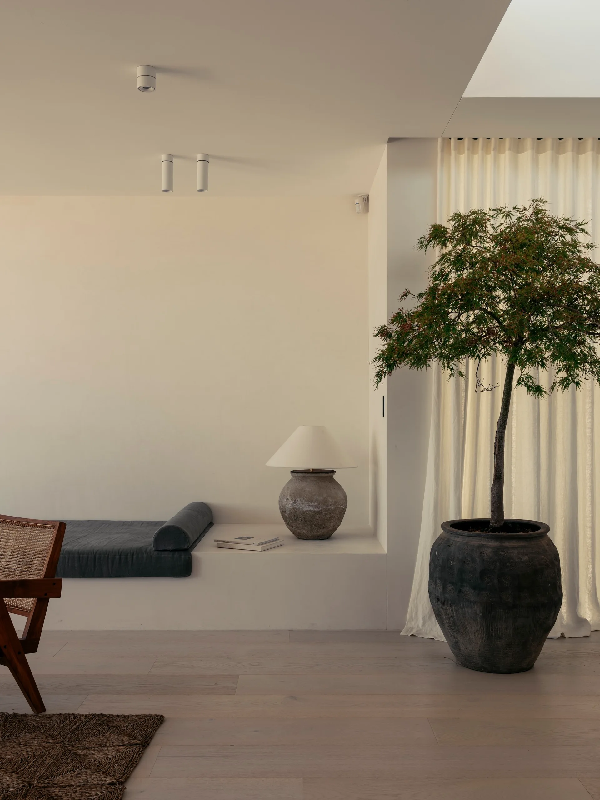 A minimalist cream room features a plaster built-in bench with a dark cushion, a large potted tree, and sheer drapes under a skylight.