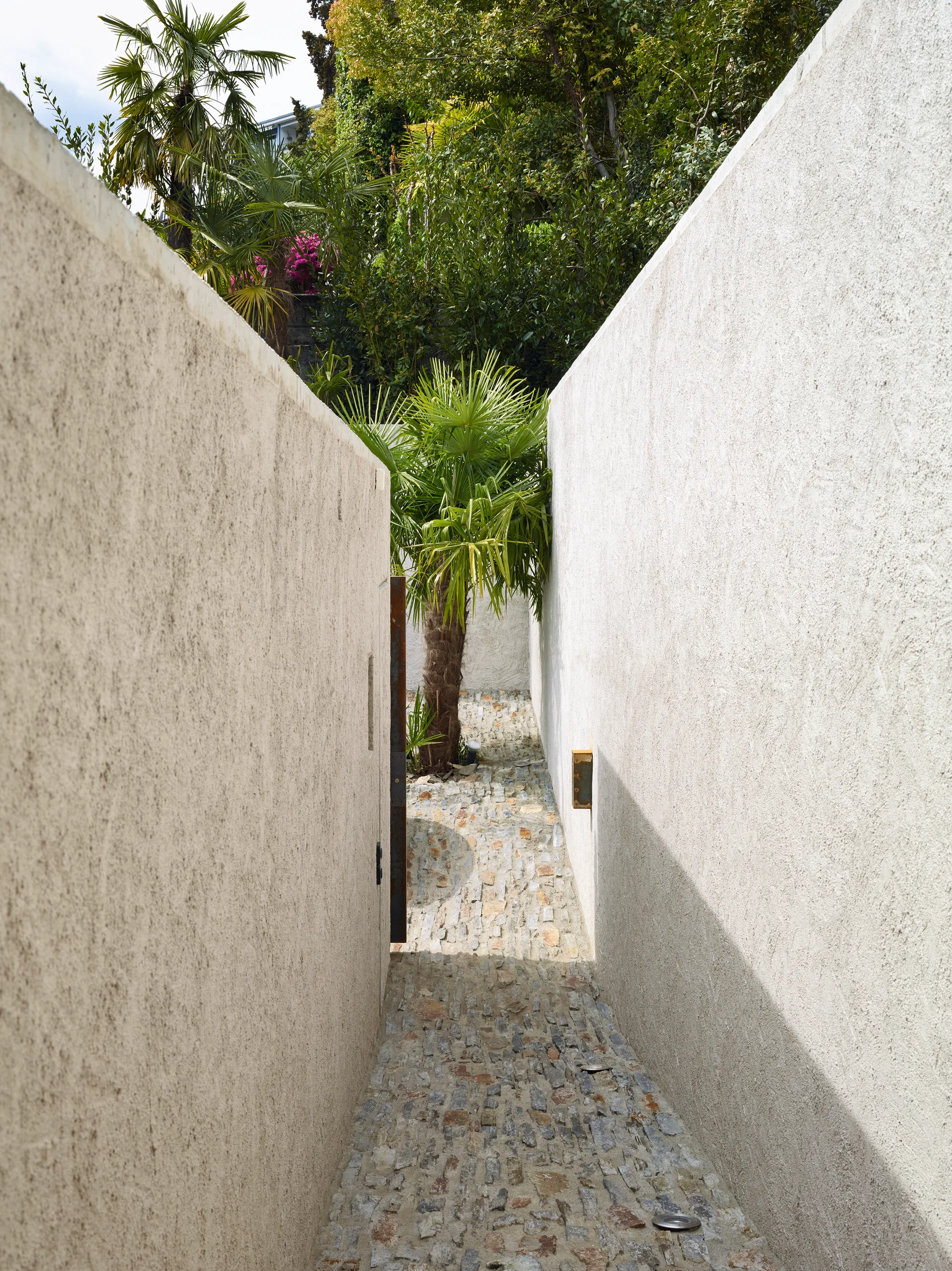 A narrow stone-paved pathway runs between two high, textured off-white stucco walls leading toward a green palm tree under bright daylight.