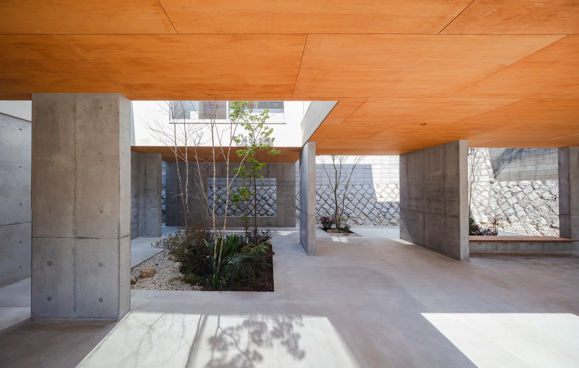 A modern outdoor courtyard featuring raw concrete pillars, a warm wood-paneled ceiling, and a sunken garden bed with green trees.
