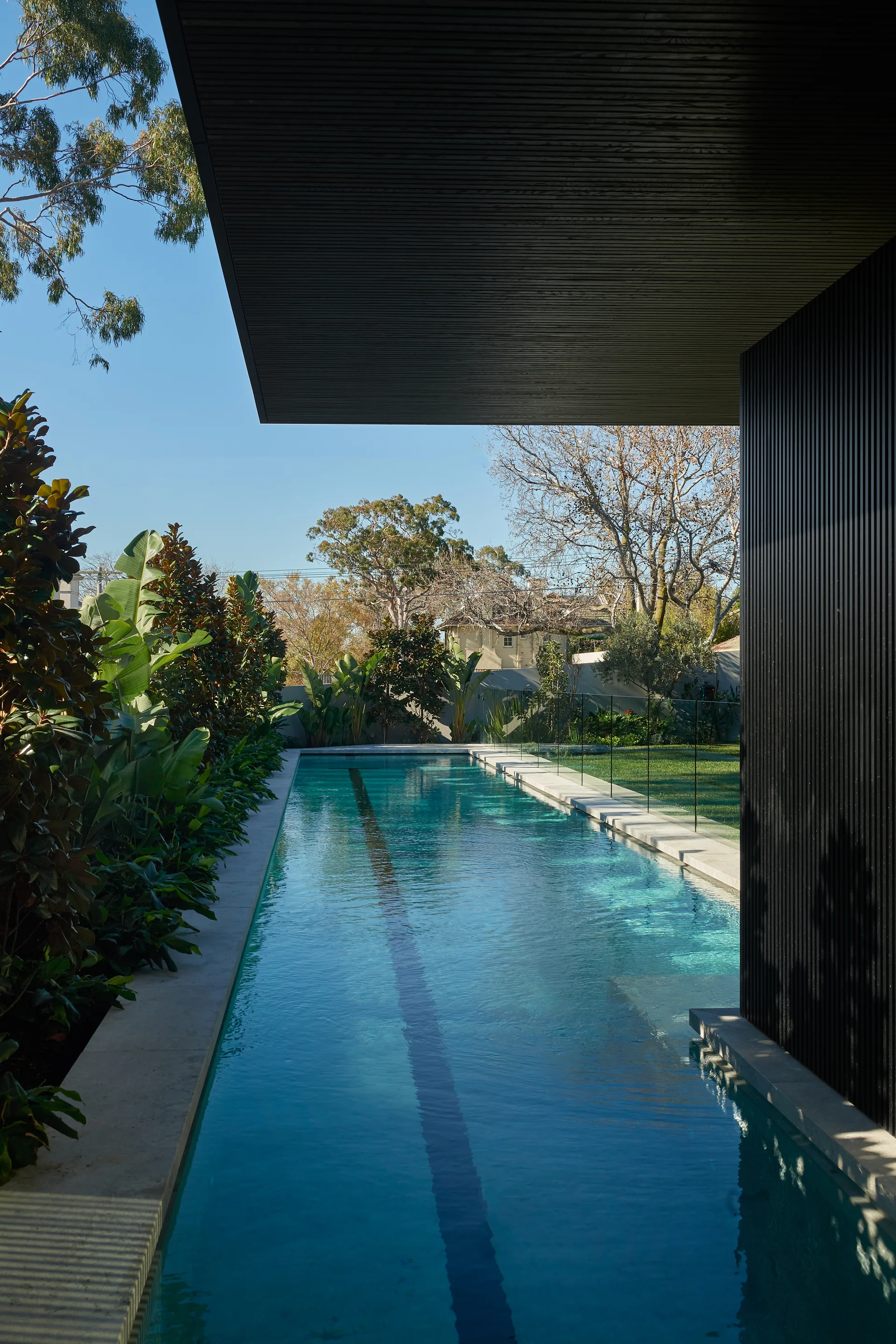 A long rectangular lap pool is flanked by lush tropical plants and a modern house featuring black vertical wood slat siding.