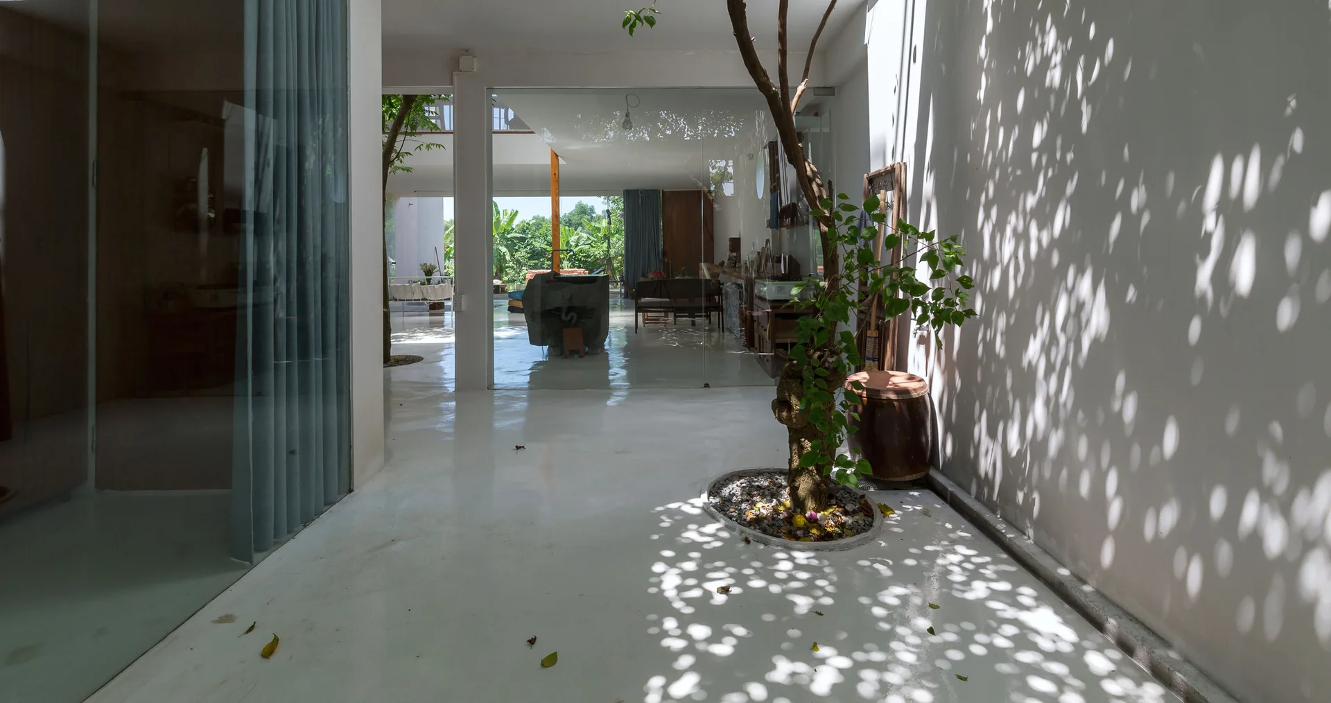 A minimalist indoor courtyard features a living tree in a circular floor planter, glossy white floors, and transparent glass partition walls.