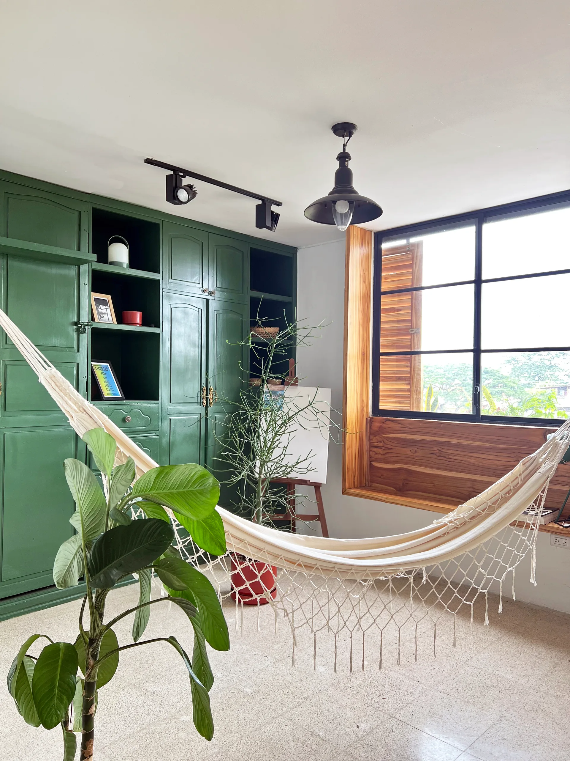 A cream macrame hammock hangs in a bright room featuring a forest green cabinet wall, a large wood-trimmed window, and indoor plants.