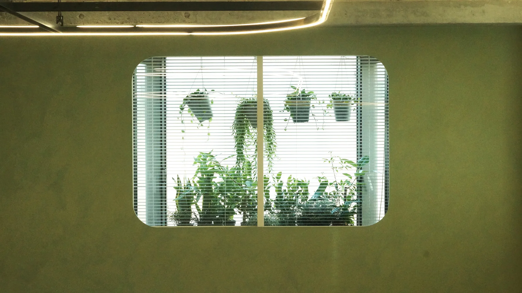 A rectangular window with rounded corners set in a green wall features horizontal blinds and hanging plants.