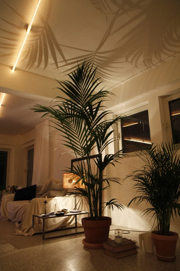 A dimly lit living room features a draped sofa, a textured table lamp, and two potted palms casting large leafy shadows onto the white ceiling.