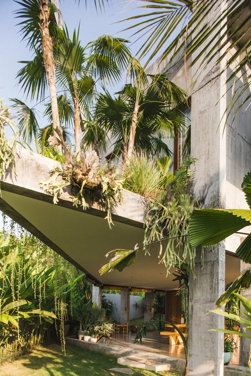 A modern concrete patio features a large cantilevered overhang sheltering a wooden table, surrounded by dense tropical plants and palm trees.