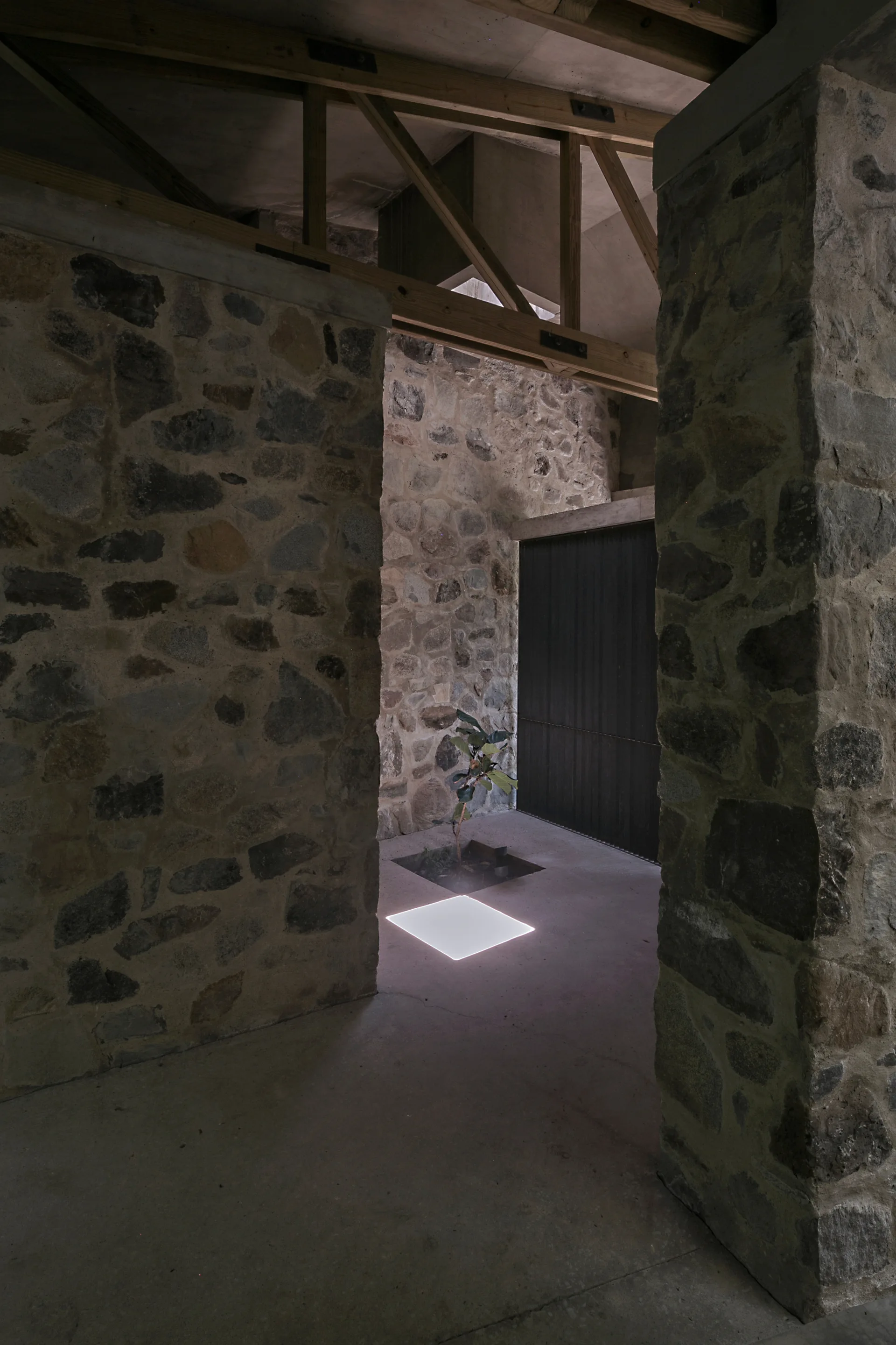 An architectural interior features rough stone walls, an exposed timber truss ceiling, a smooth concrete floor, and a small plant cutout.