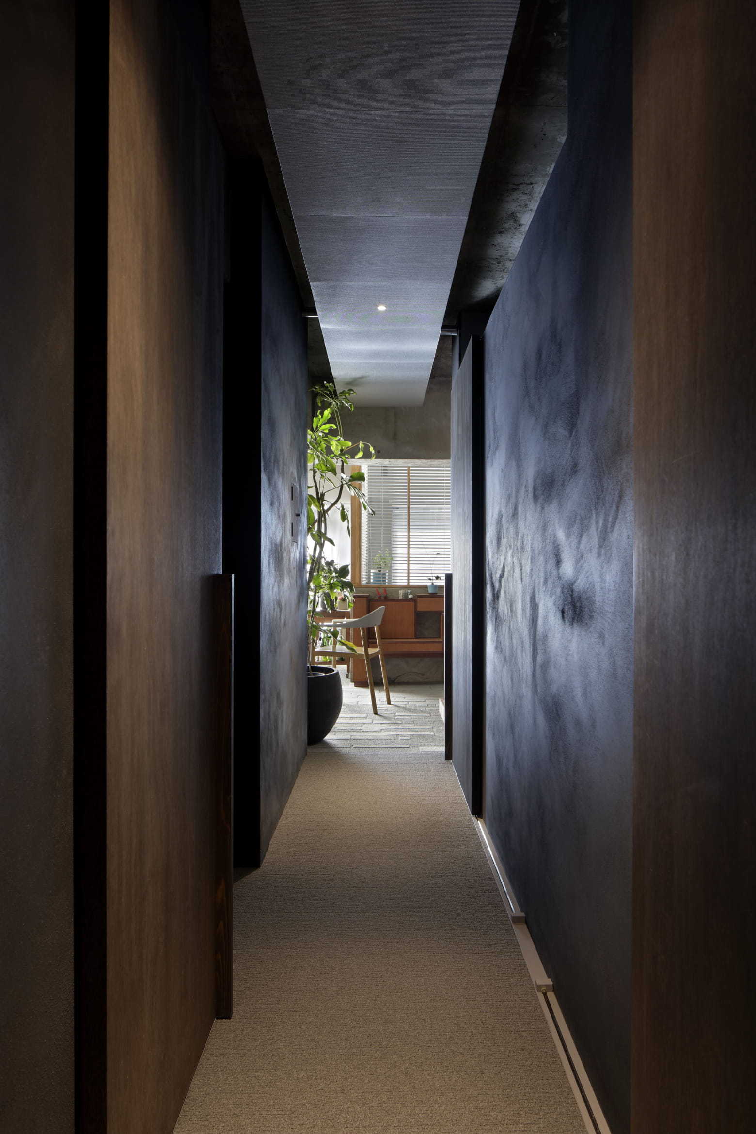 A narrow, dimly lit hallway with dark textured plaster walls leads toward a bright room containing a green houseplant and wooden chair.