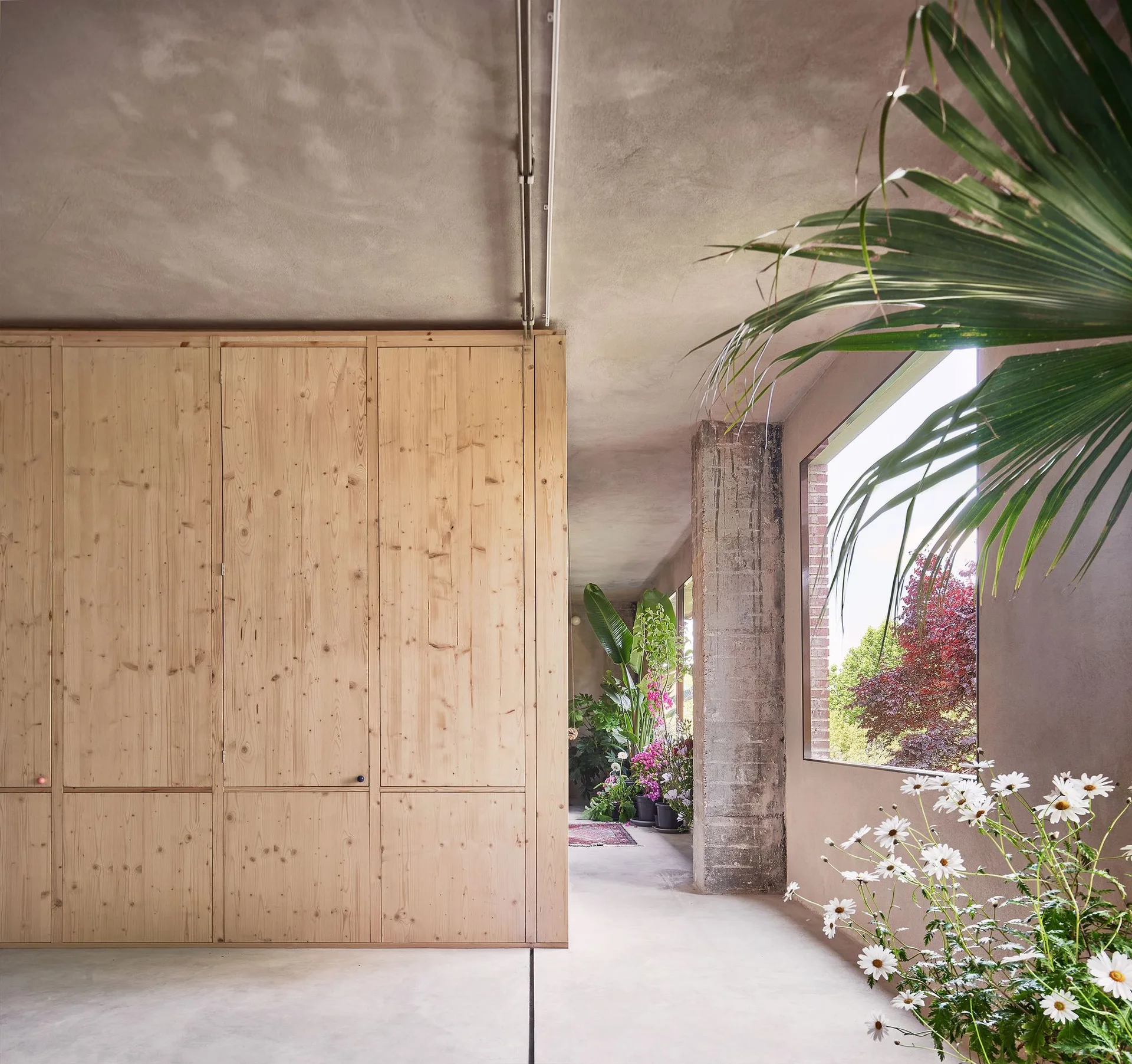 A minimalist hallway features a floor-to-ceiling light wood storage wardrobe built into an exposed concrete structure next to a window.