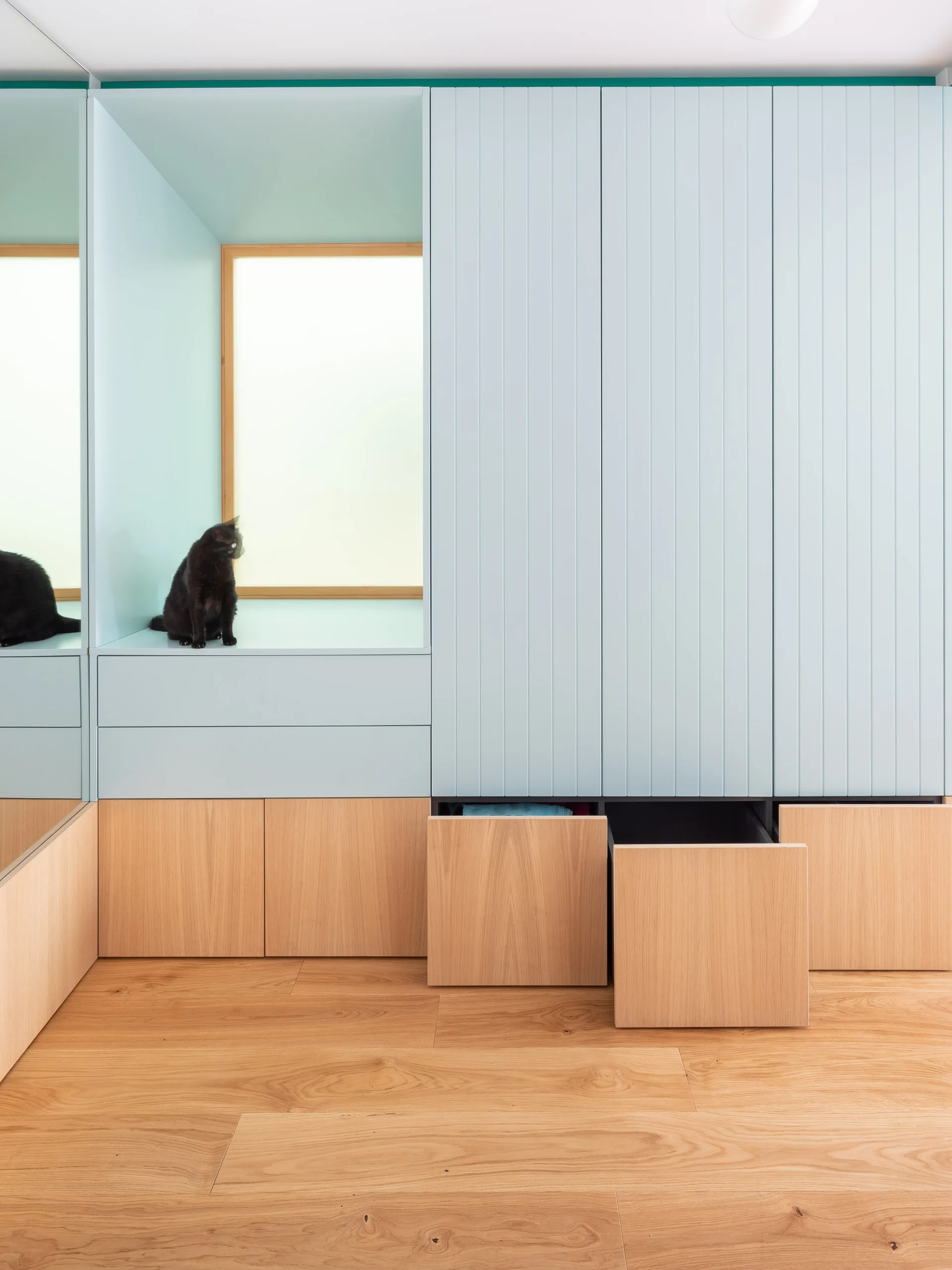 A modern built-in storage unit with pale blue grooved upper doors, a windowed alcove featuring a black cat, and light wood lower drawers.