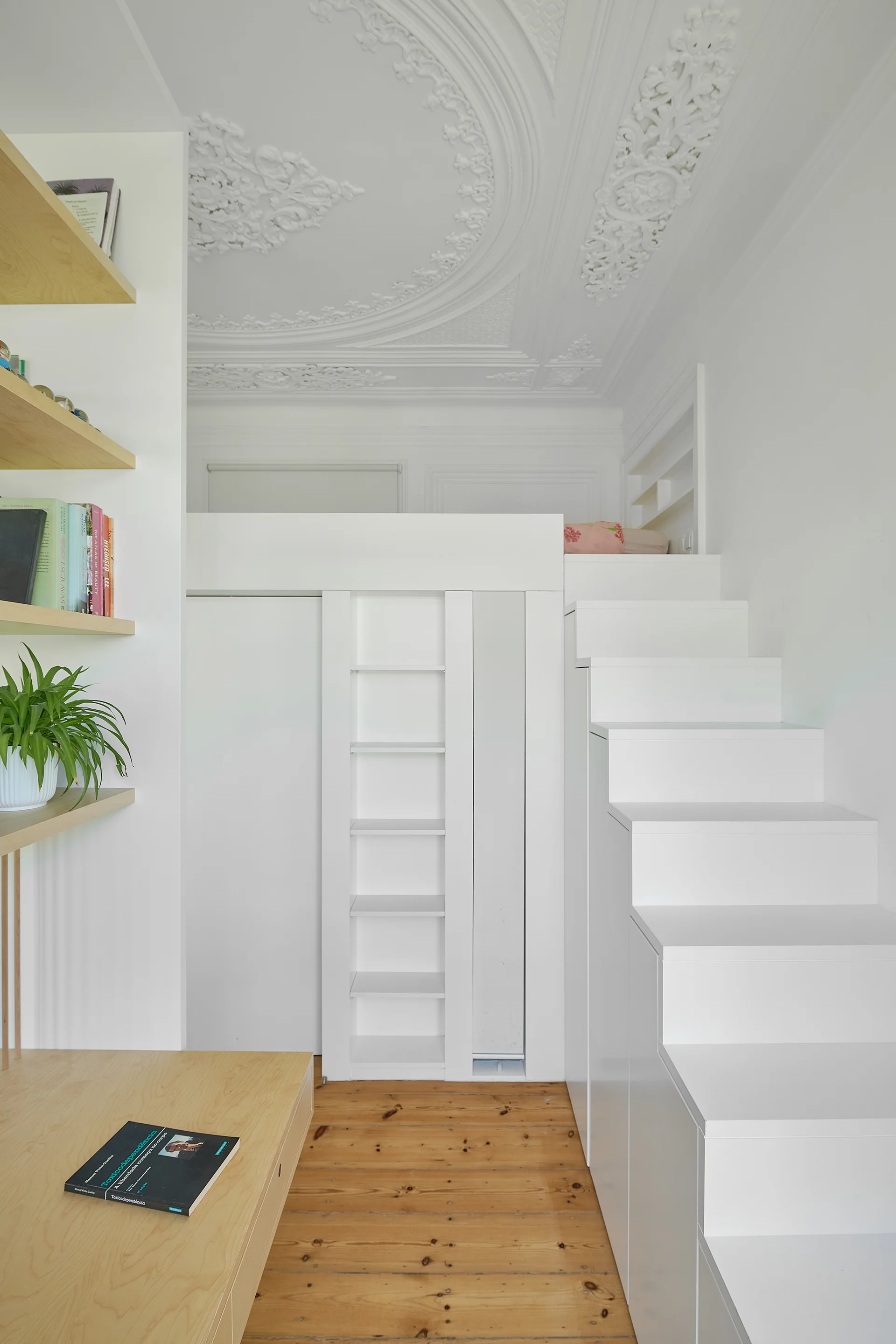 A white built-in storage staircase leads to a sleeping loft under an ornate plaster ceiling in a minimalist bedroom with wood flooring.