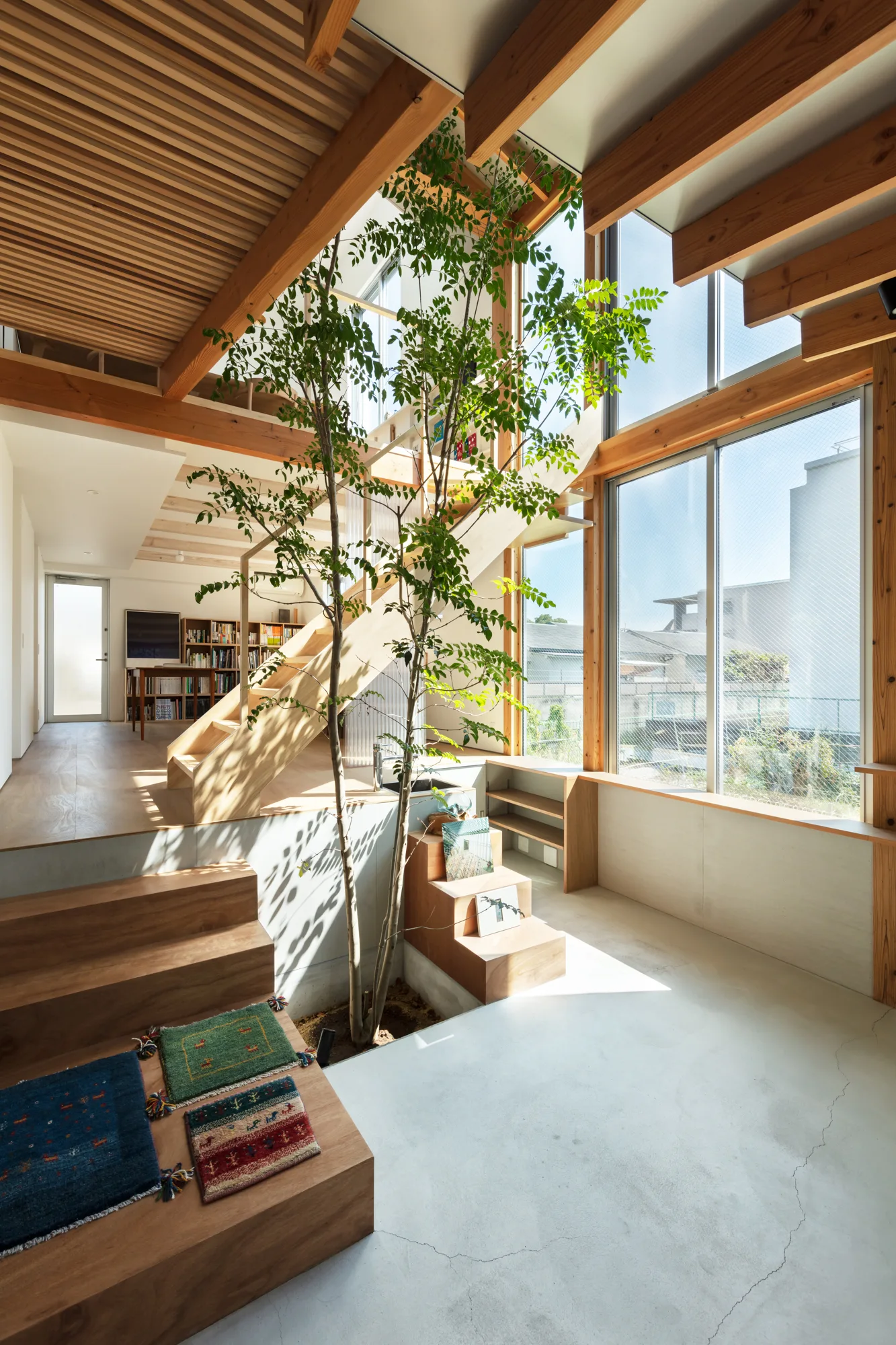 A split-level interior featuring a tall live tree growing through a cutout in the concrete floor next to a light wood staircase under a slatted ceiling.