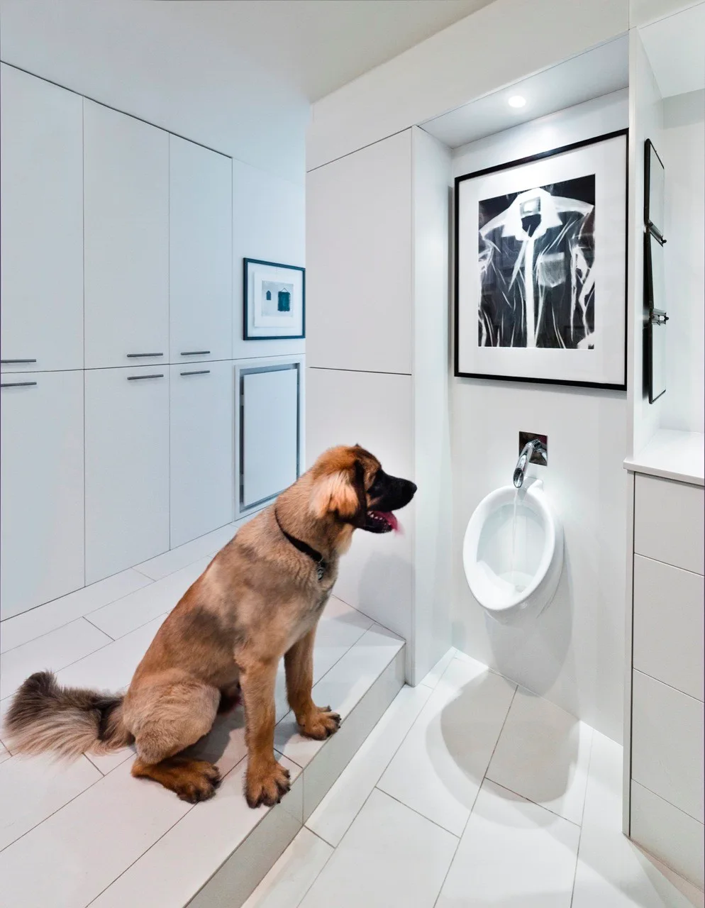 A minimalist white bathroom with built-in cabinetry, a wall-mounted ceramic urinal, framed artwork, and a large dog sitting on the tiled floor.