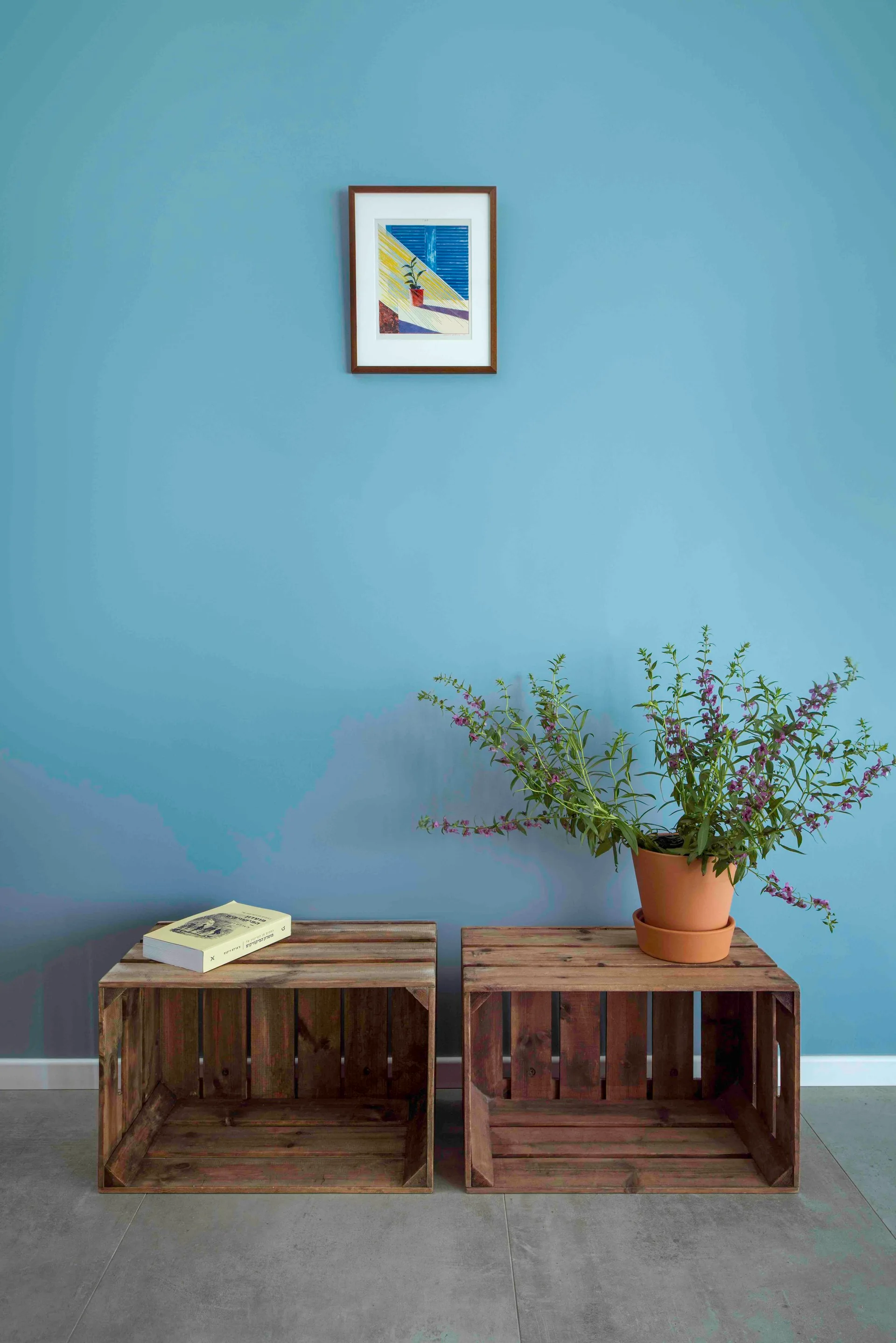 Two weathered wooden crates sit on a grey tile floor against a dusty blue wall, topped with a potted plant and a single book.
