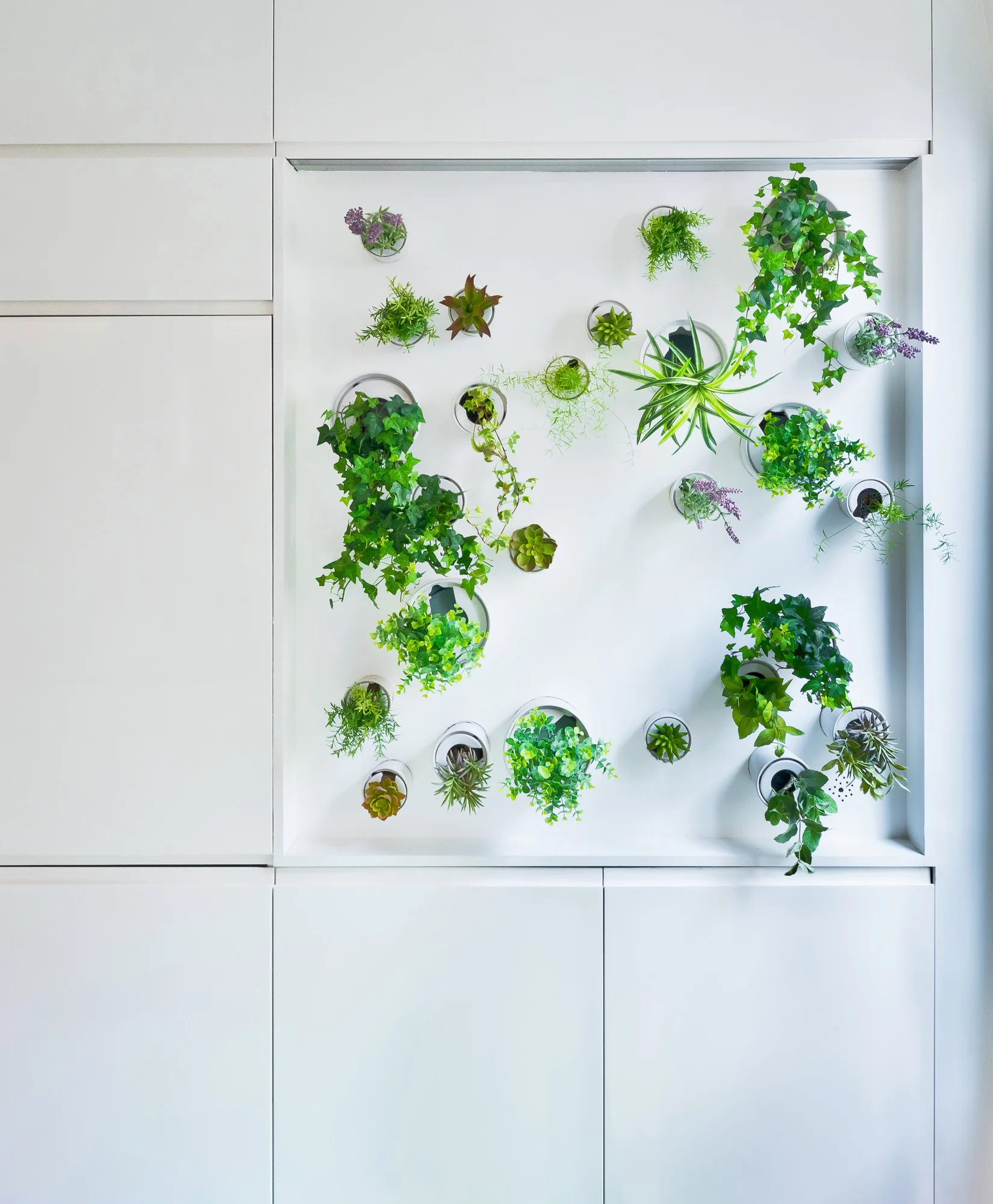 A recessed vertical garden display with small potted green plants built into minimalist matte white cabinet doors.