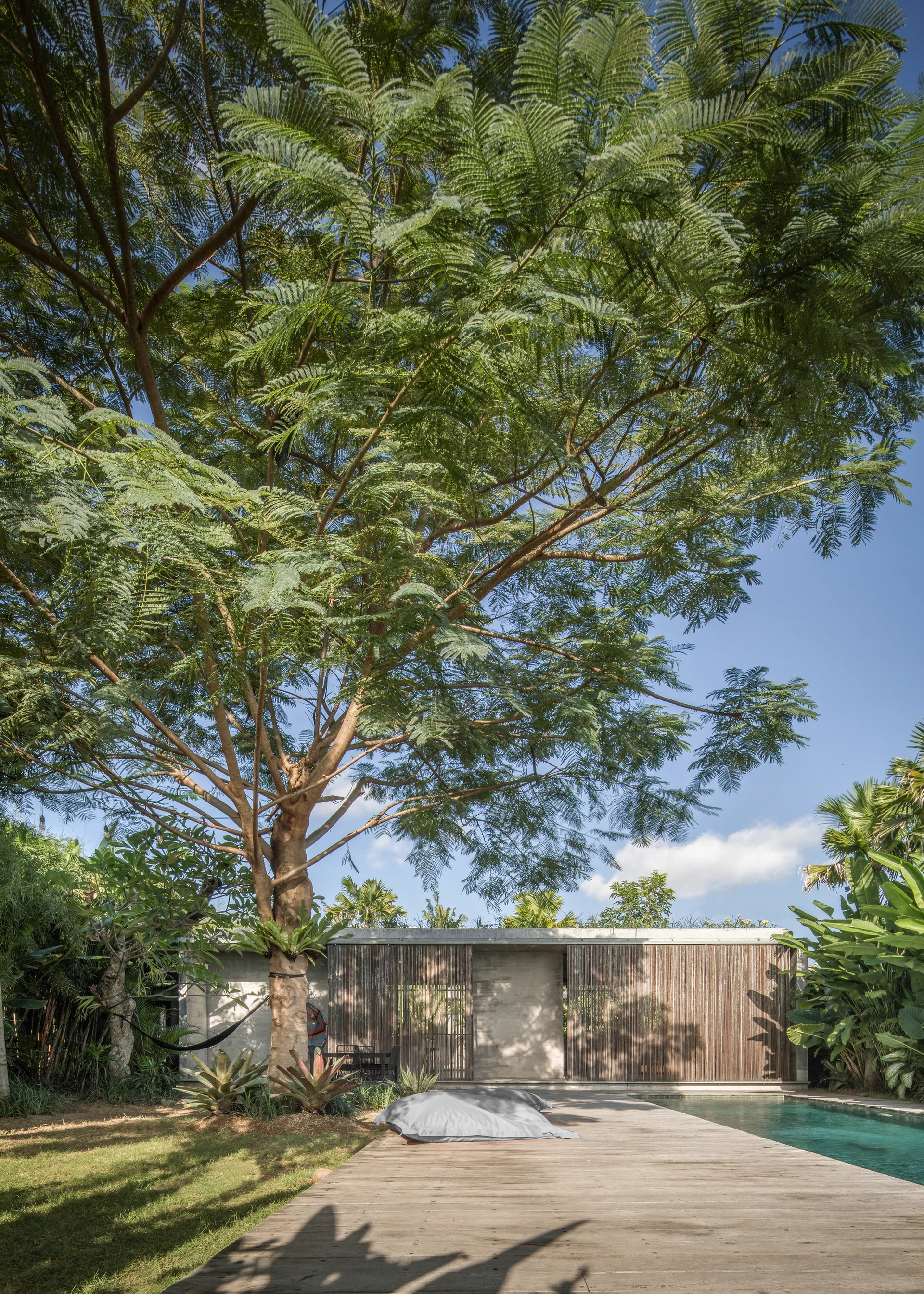 A weathered wood deck borders a swimming pool next to a modern concrete building with vertical slatted screens under a large leafy tree.