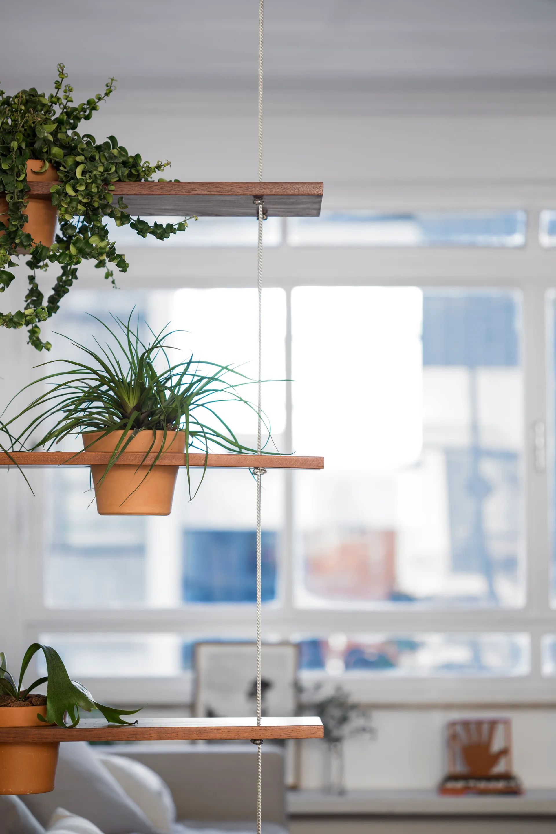 A tiered wooden hanging shelf suspended by ropes holds green potted plants in terracotta pots in front of a bright window.