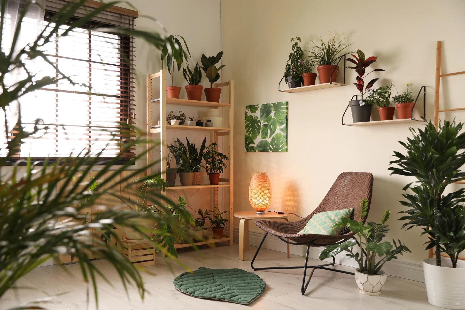 A cozy living room corner features a woven lounge chair, a tall wooden plant shelf, floating shelves, and a glowing table lamp.