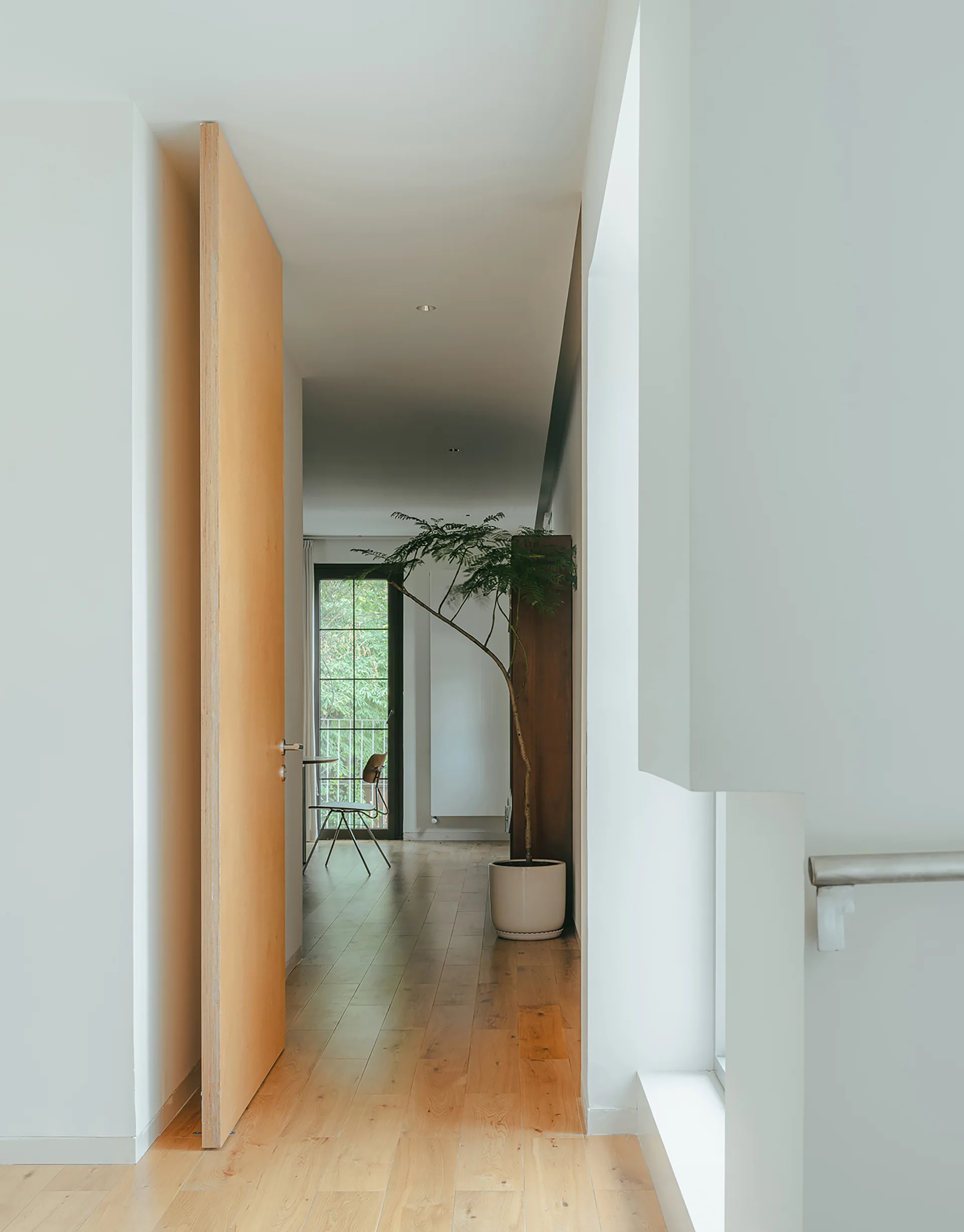 A bright white minimalist hallway features warm wood flooring, a tall light-colored wood door, and a slender potted tree in the background.