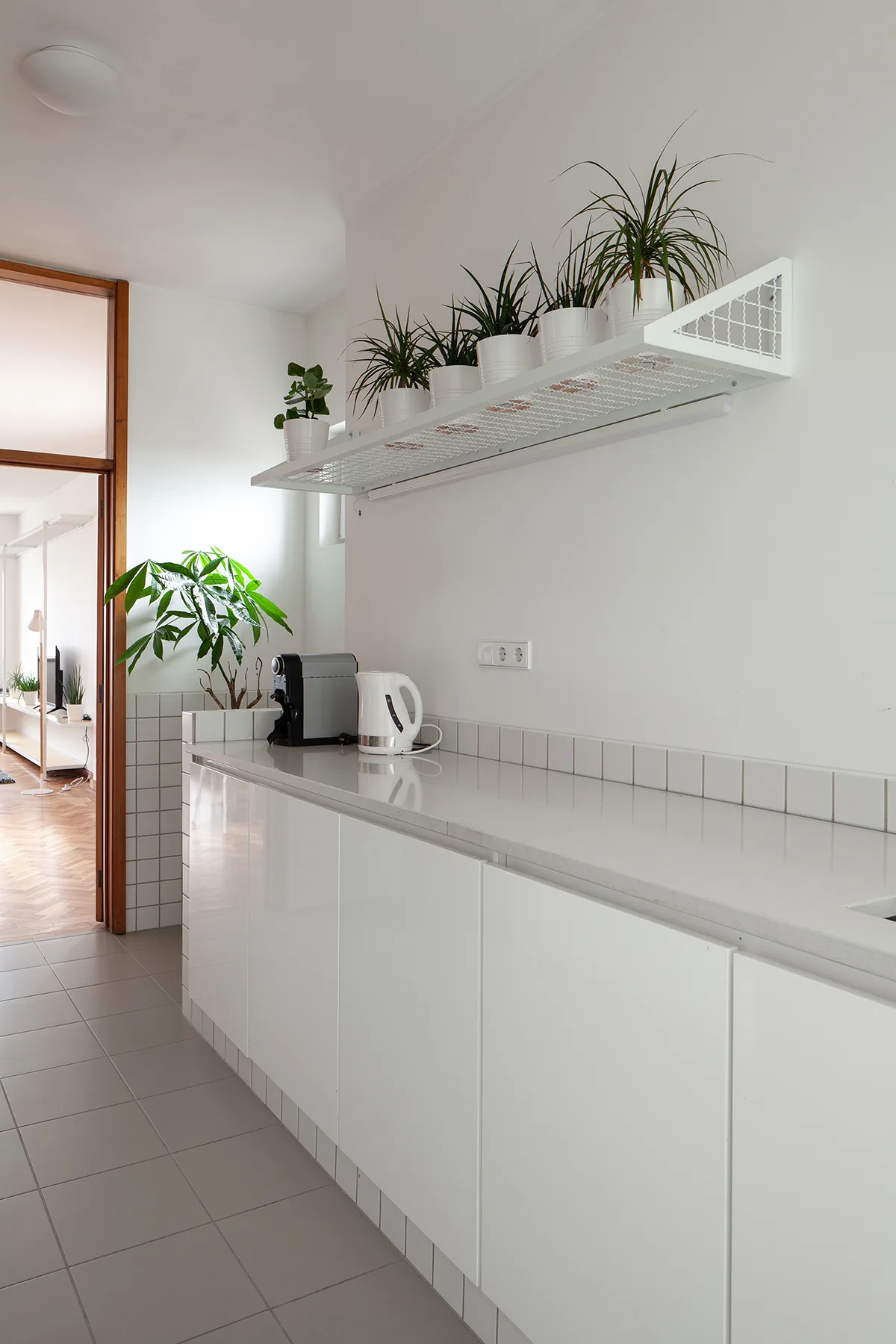 White kitchen cabinets with a light grey countertop are paired with a square tile backsplash and a metal wall shelf displaying small potted plants.