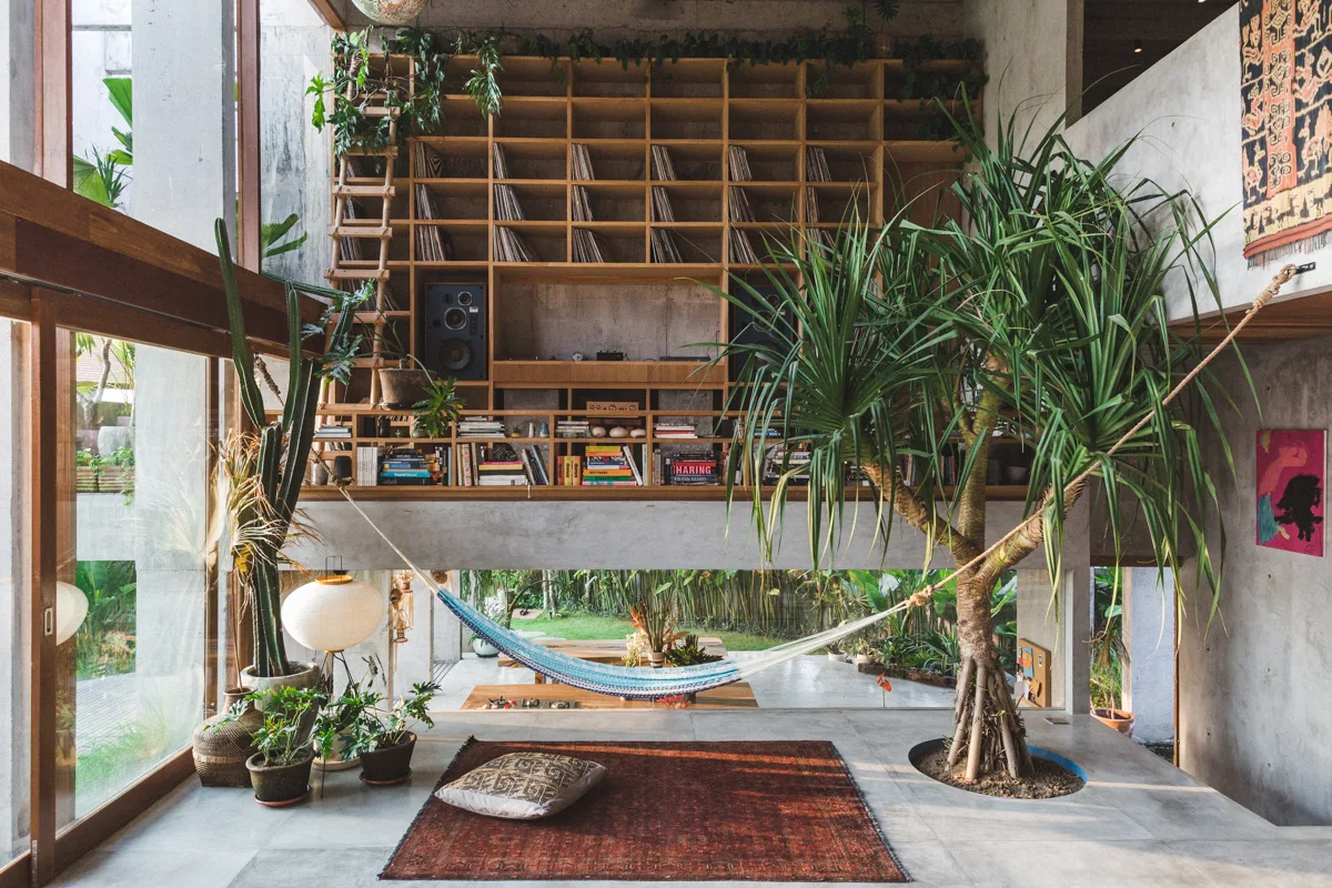 A modern concrete living room featuring a large wooden grid shelving unit, an indoor tree growing from the floor, and a suspended hammock.