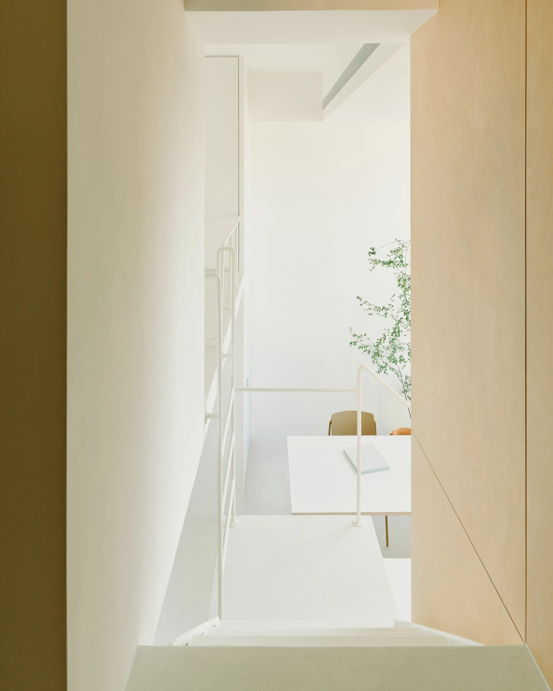 A view looking down a clean white metal staircase next to a light wood paneled wall towards a dining table and green plant below.