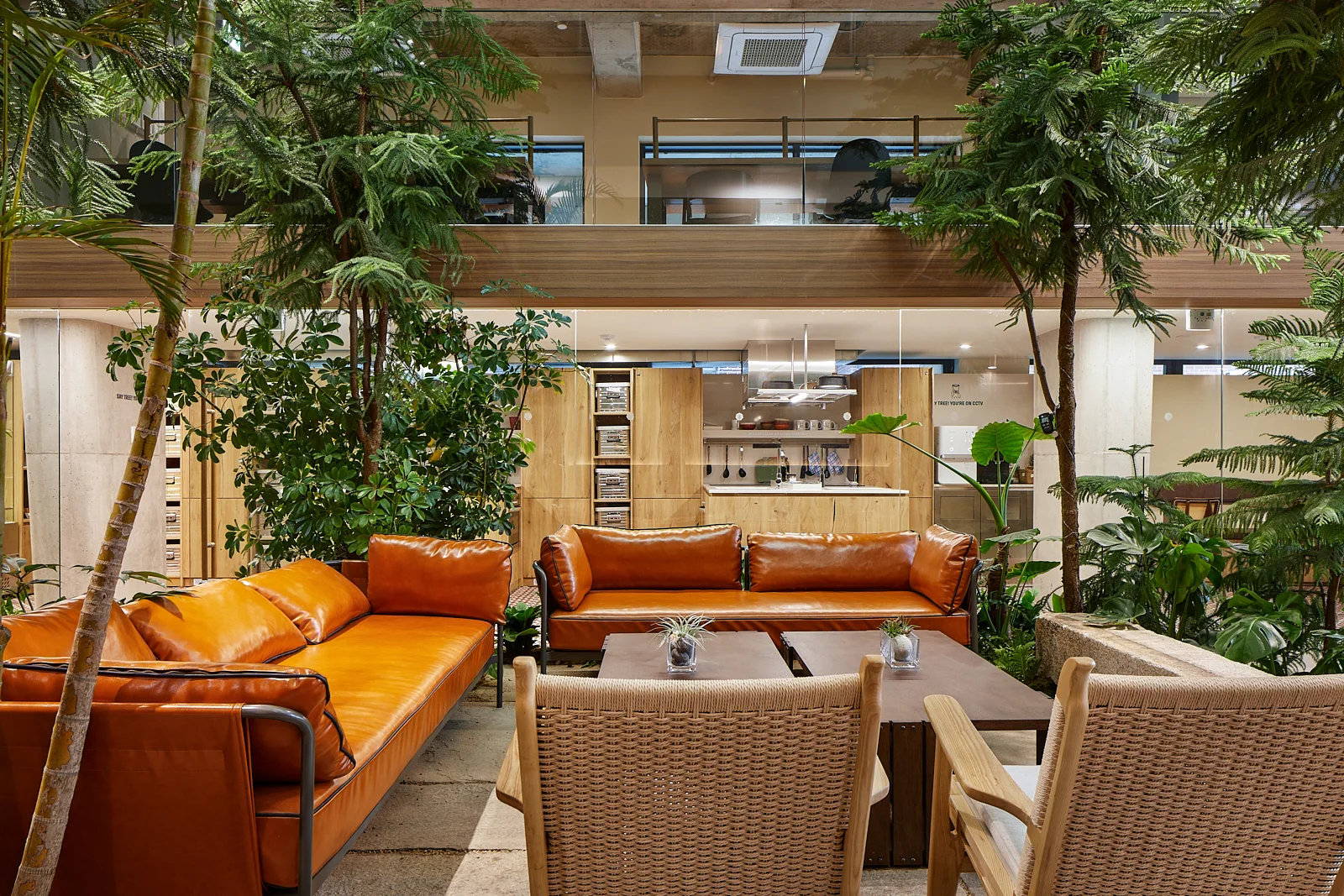 An indoor lounge features bright orange leather sofas, woven armchairs, and mature green trees beneath an exposed concrete ceiling.