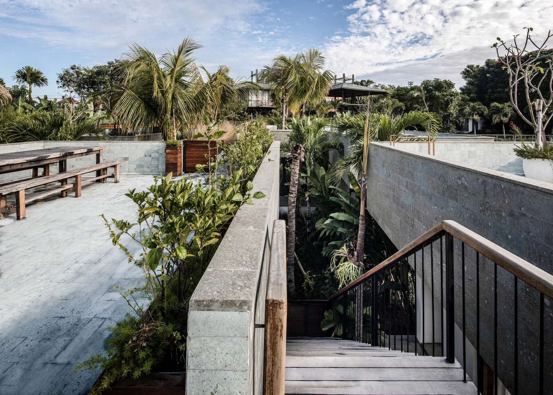 A grey stone rooftop terrace featuring a wooden dining table and bench, integrated planters with lush tropical plants, and a descending wooden staircase.