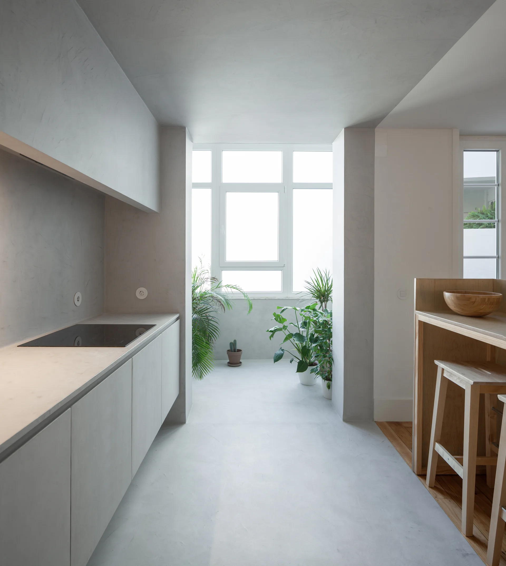 A minimalist galley kitchen with matte gray cabinetry, concrete-like walls and floor, a wood bar with stools, and plants in a sunlit window alcove.