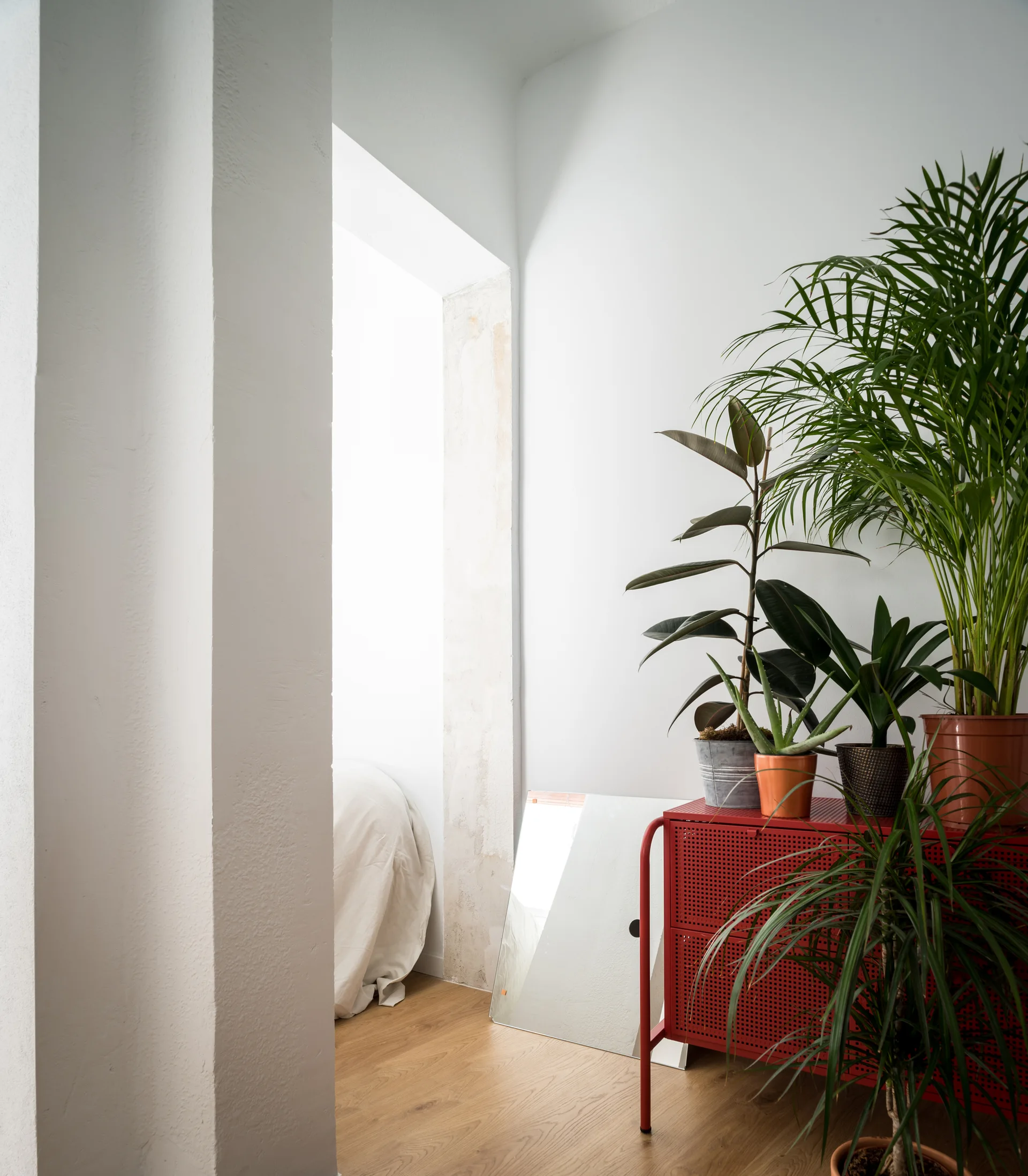 A bright room corner features a red perforated metal cabinet topped with several green houseplants next to a leaning mirror on light wood flooring.