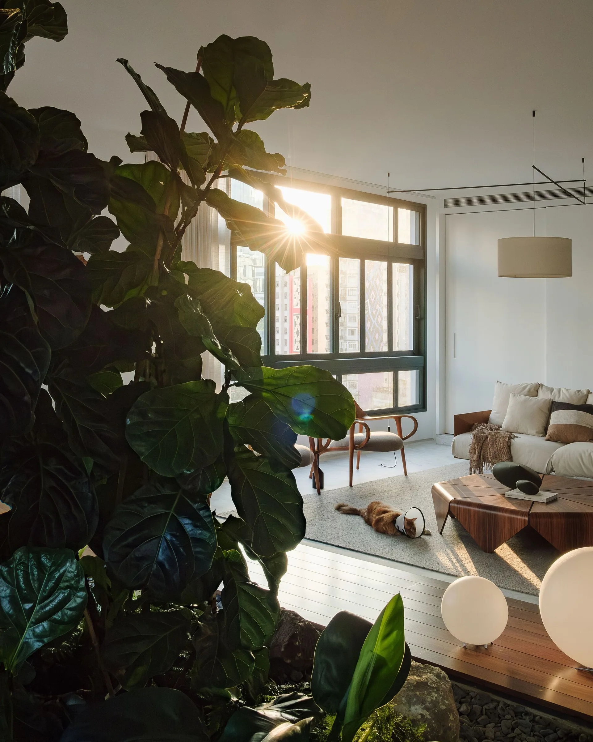 A sunlit living room features a cream sofa, a geometric wooden coffee table, spherical floor lamps, and a large fiddle leaf fig plant in the foreground.