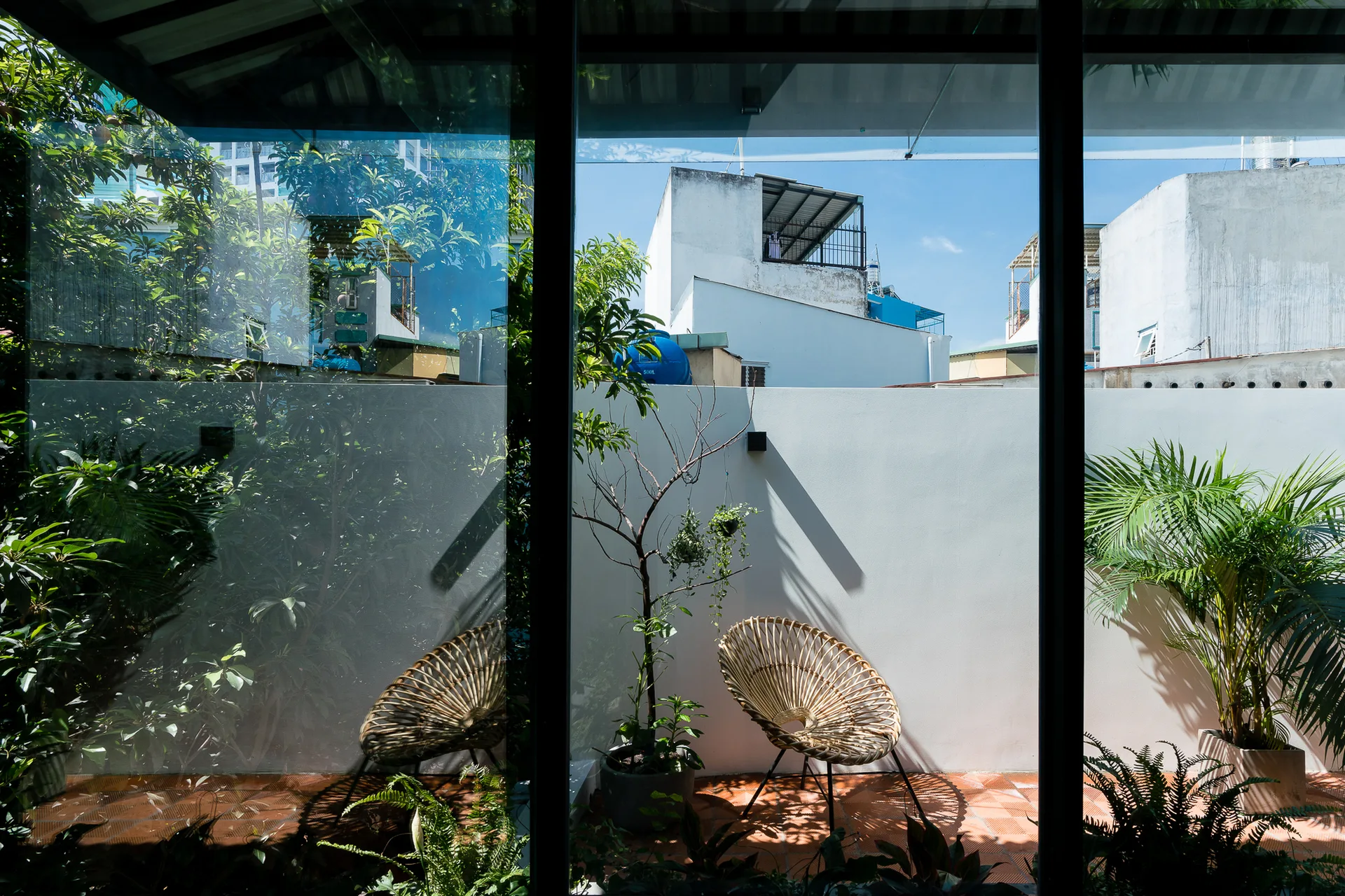A sunlit patio seen through a large window, featuring circular rattan chairs, green potted plants, and terracotta tile flooring against a white wall.