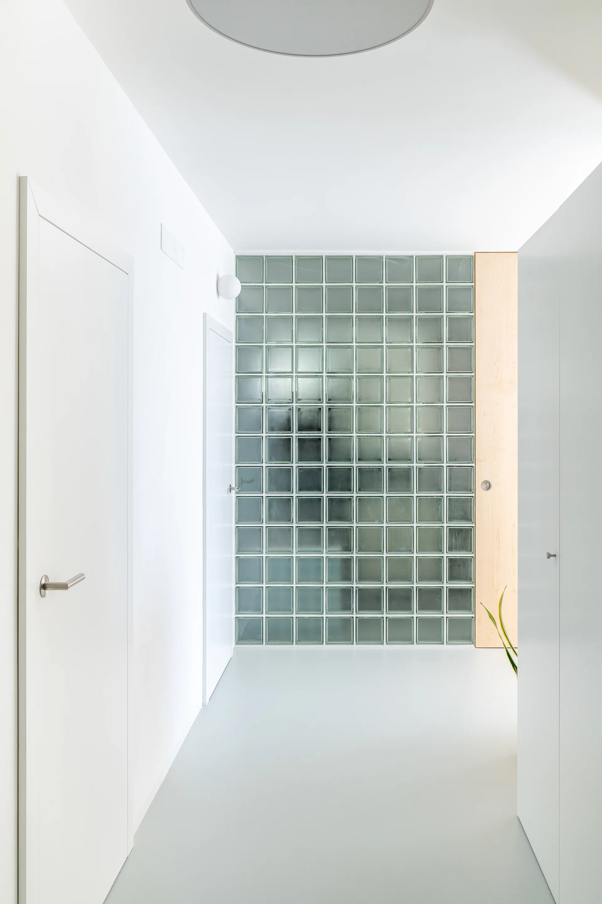 A minimalist white hallway features flush doors, smooth light flooring, and a translucent glass block feature wall paired with a narrow wood accent panel.