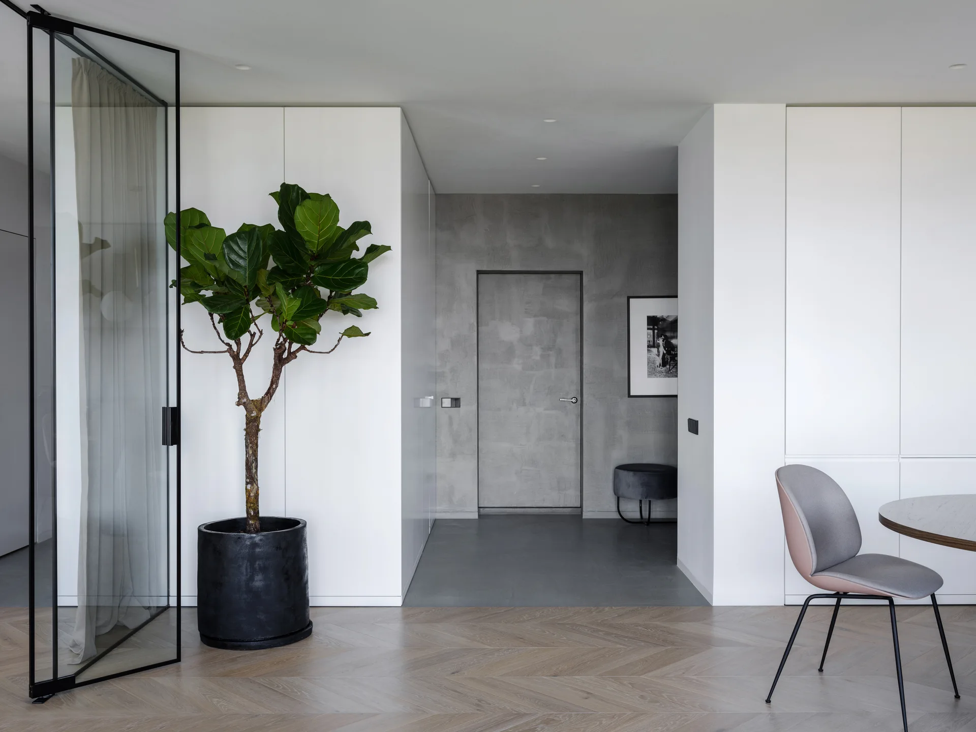 A minimalist corridor features a black-framed glass pivot door, a large fiddle-leaf fig plant, light wood herringbone floors, and a textured concrete wall.