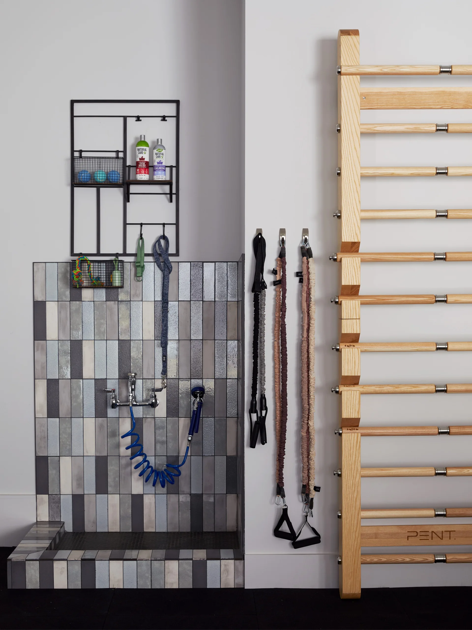 A utility room corner features a dog wash station lined with vertical grey tiles next to wall-mounted wooden gym bars and hanging fitness bands.