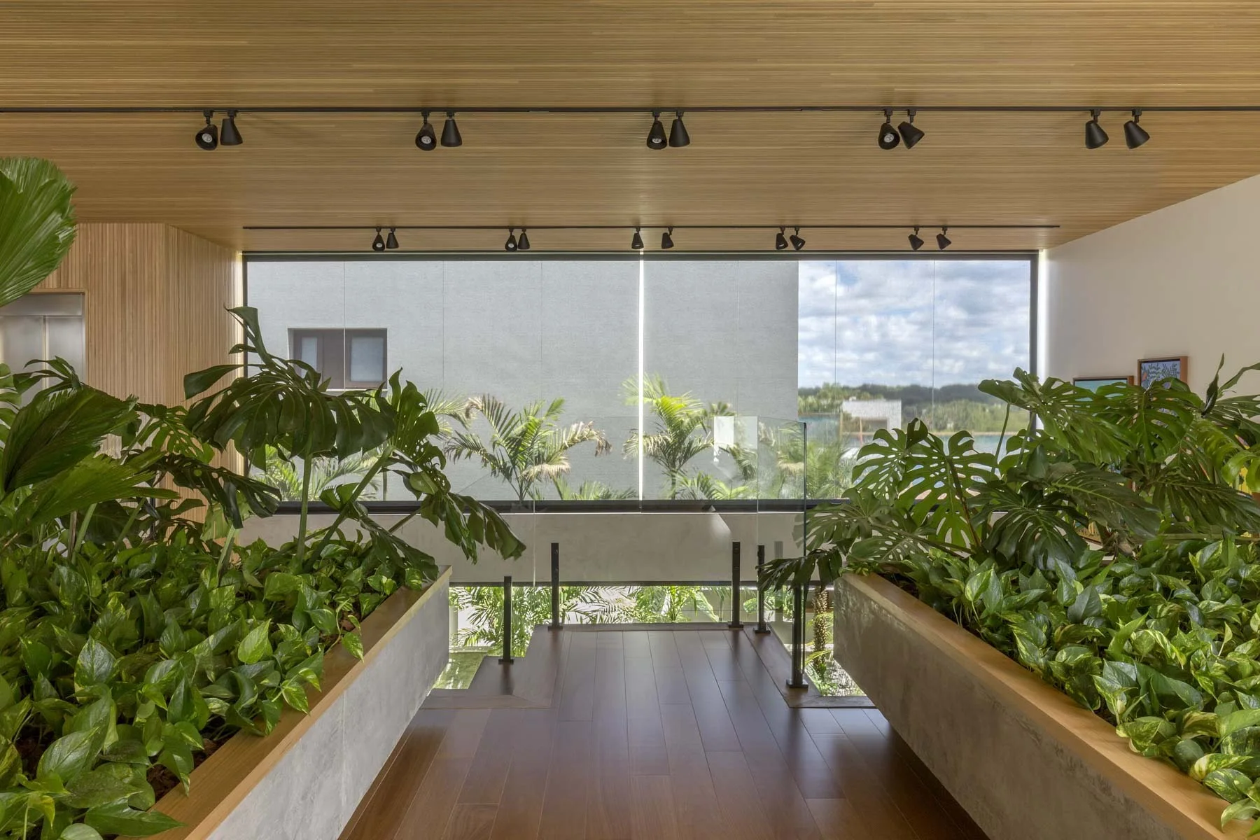 A modern indoor corridor features two large concrete planters filled with lush green plants under a slatted wood ceiling with track lighting.